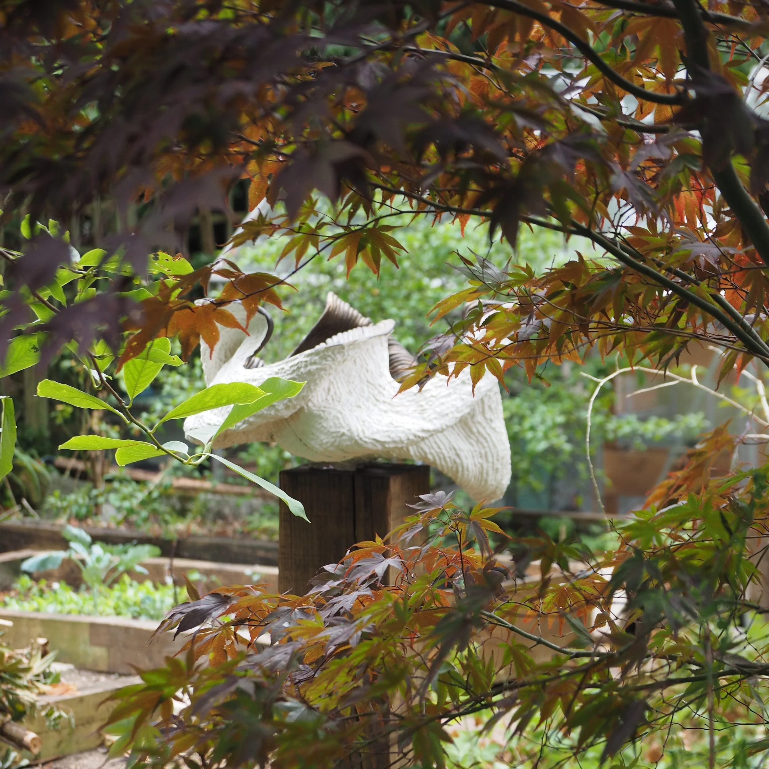 P1011820.png