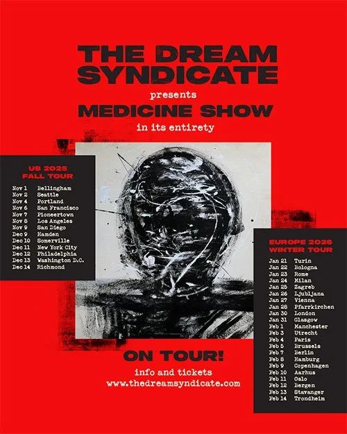 THE DREAM SYNDICATE