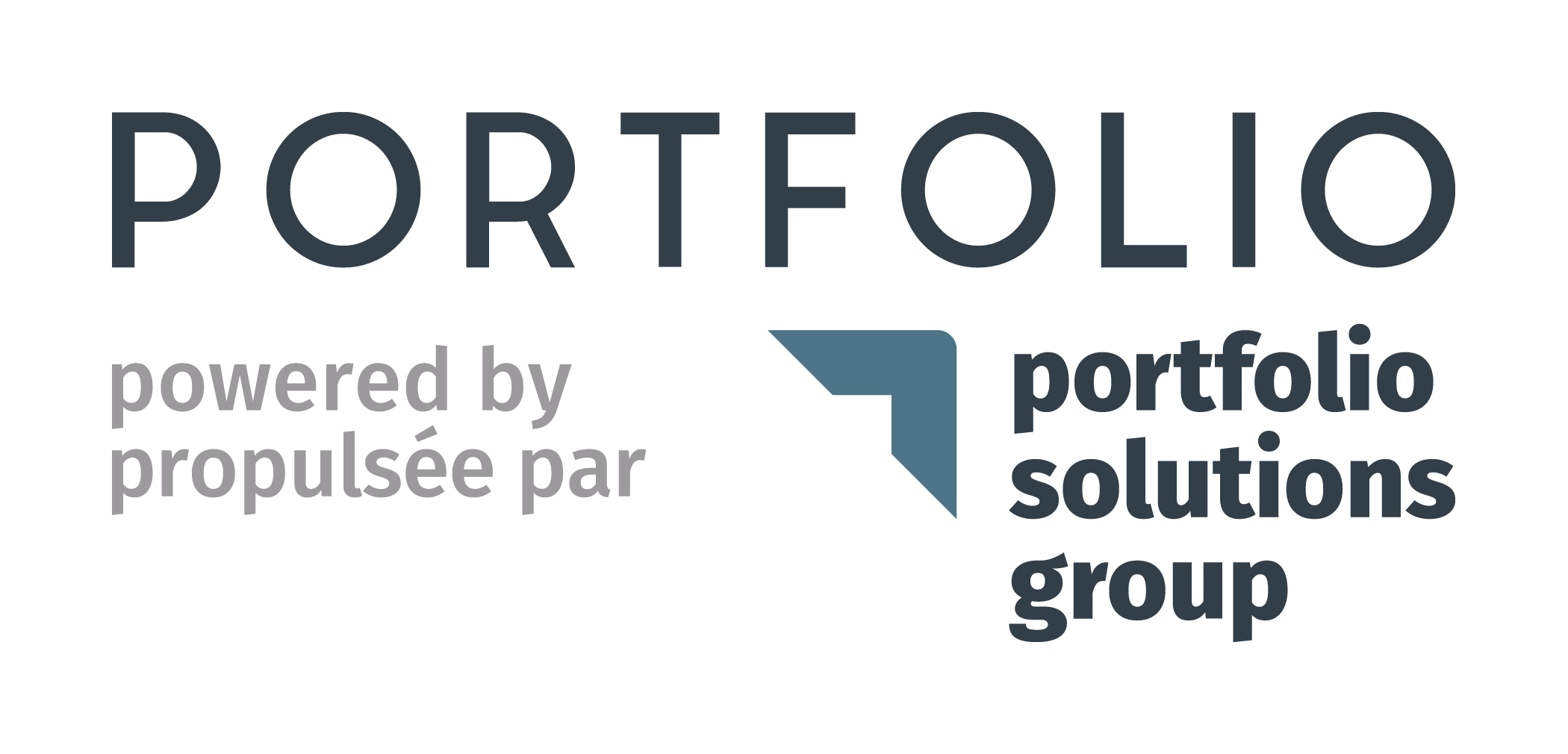 Portfolio Solutions — Portfolio Solutions Group