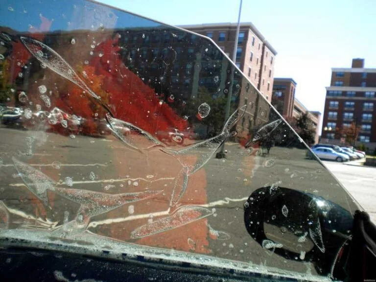 The True Cost of Tint or Paint Protection Price Shopping