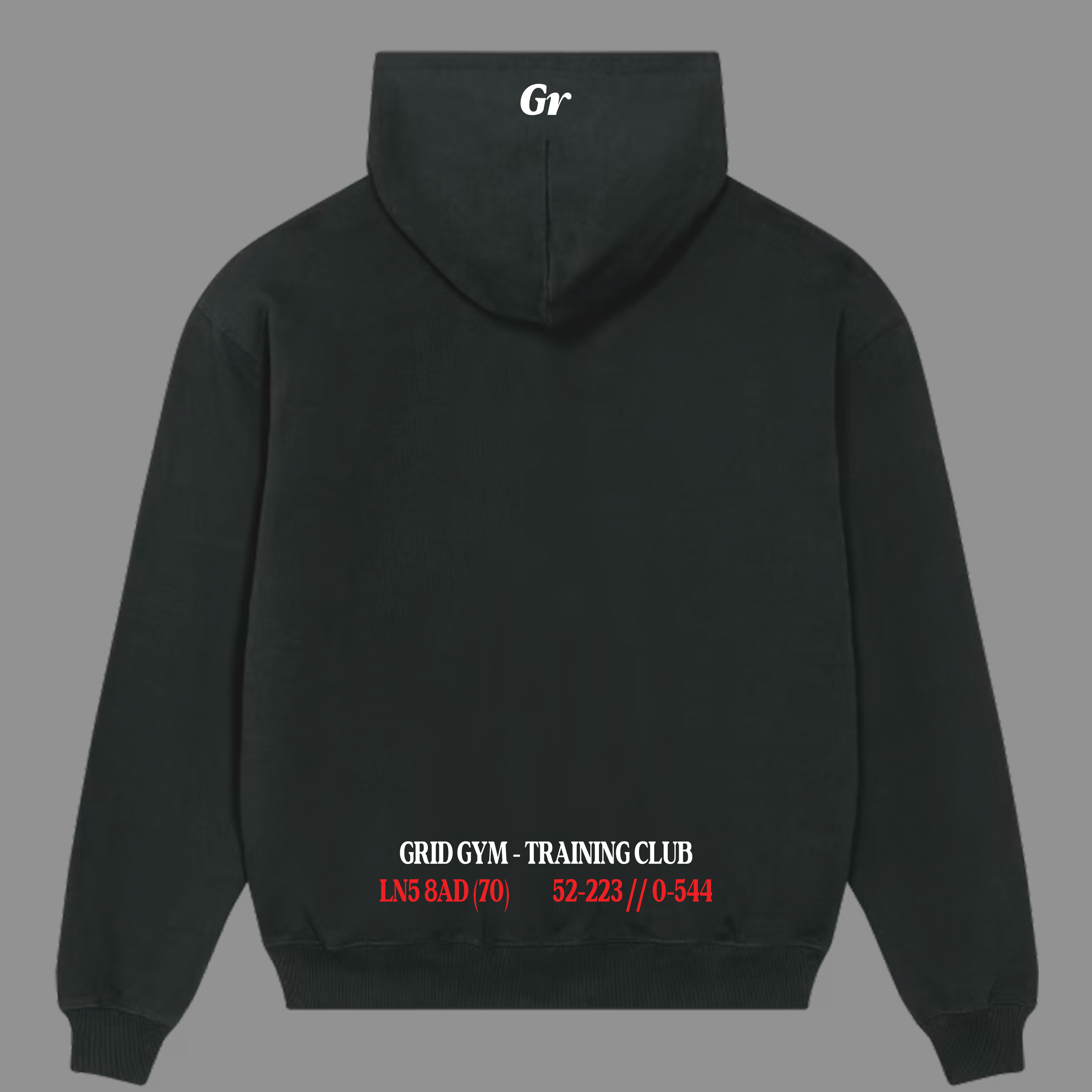 GRID HOODIE FINAL rear.png