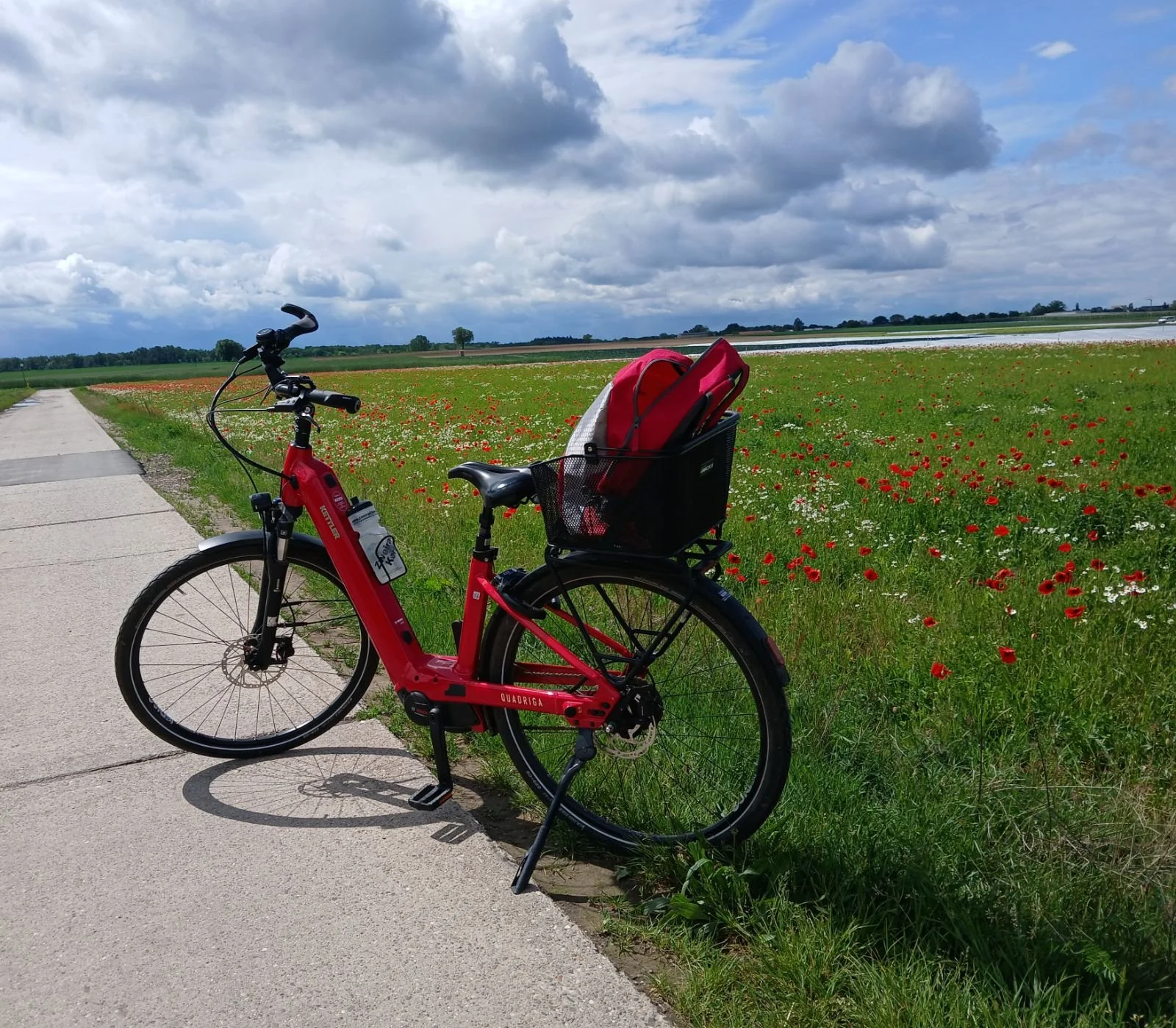 3000 Kilometer für Gesundheit und Klimaschutz – SüdpfalzDOCs beim STADTRADELN 2026