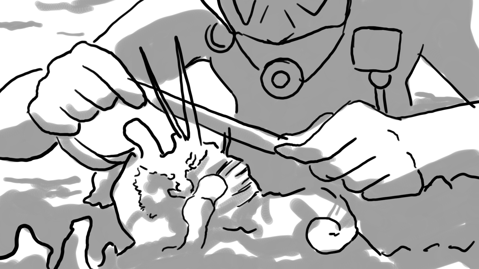 Danube National Day 2019-board-00003.png