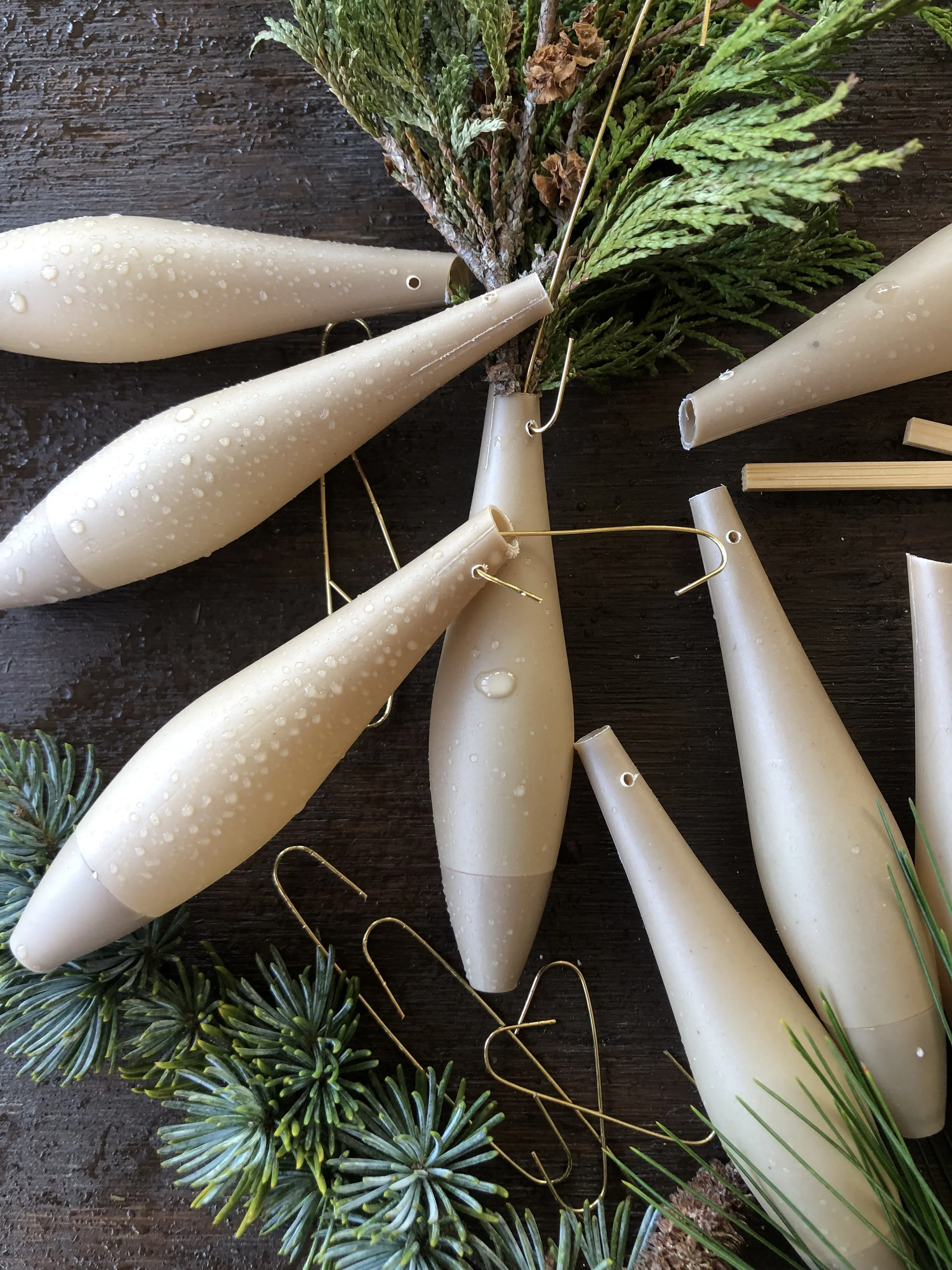 HOLIDAY WaterPod Starter Kit