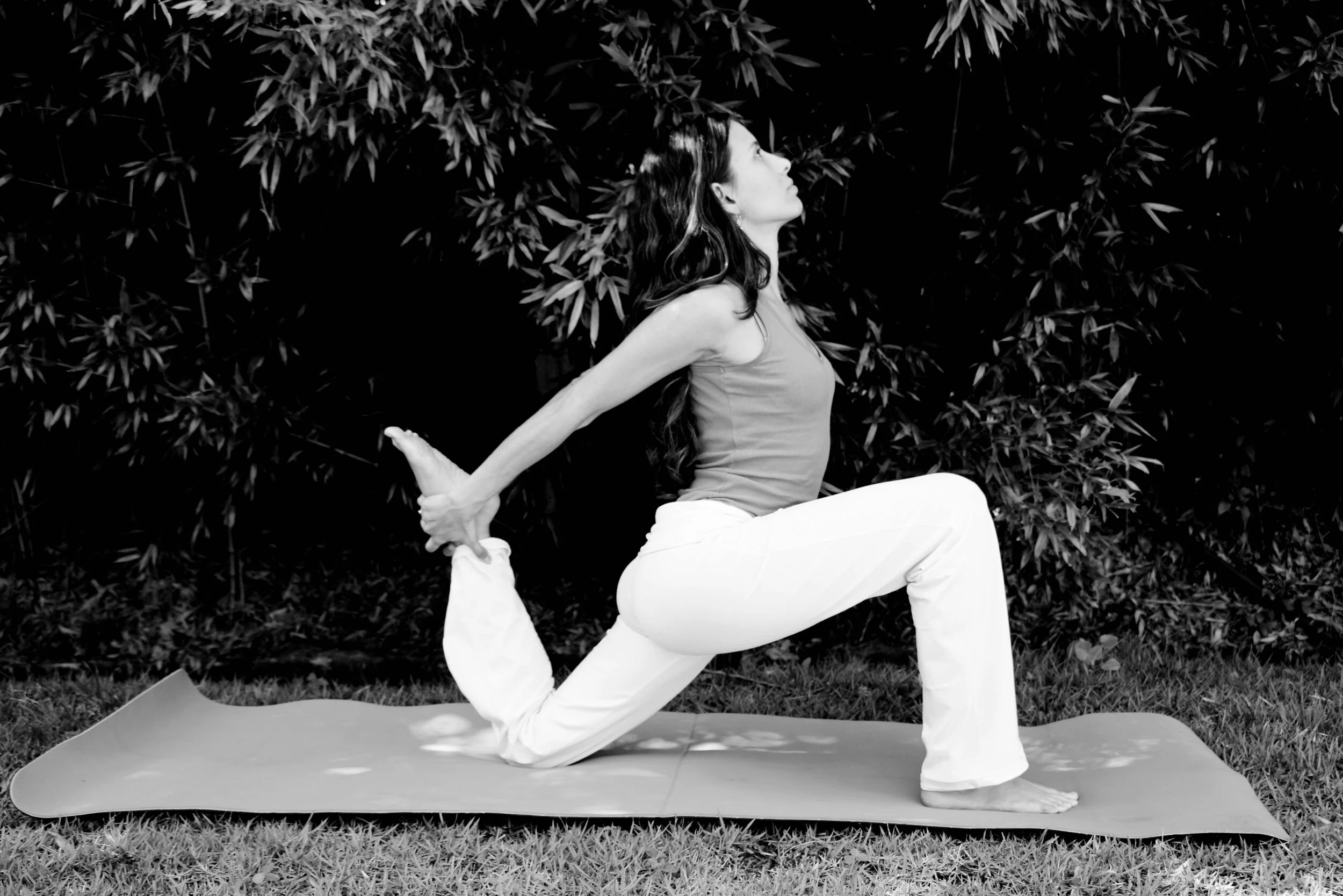 spring dexto spinal mobility.jpeg