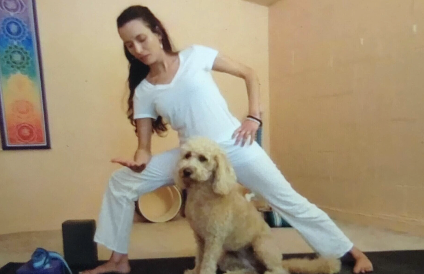 Thursday Jan. 29th at 10:30 am