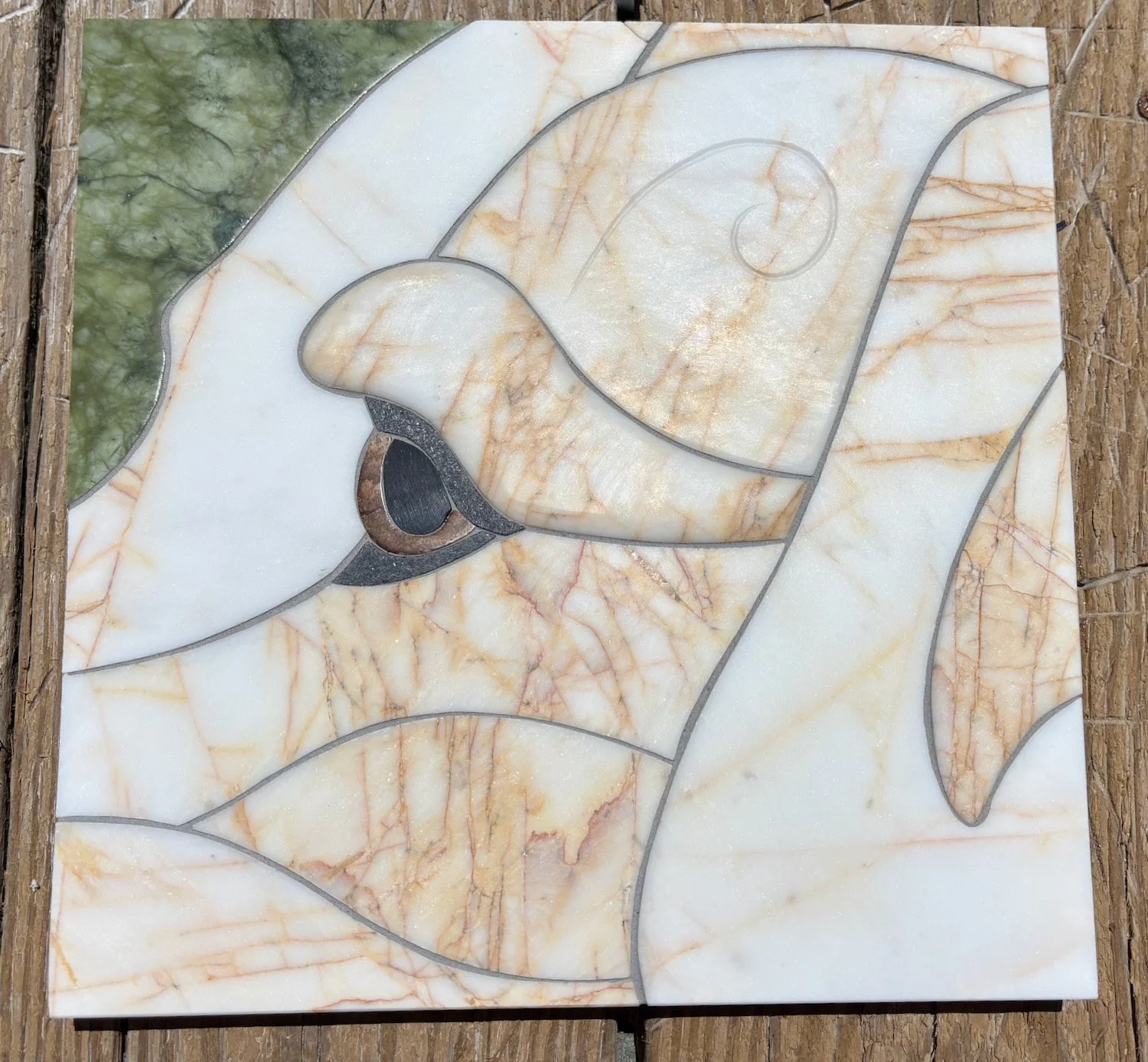 2025 - close up of dog