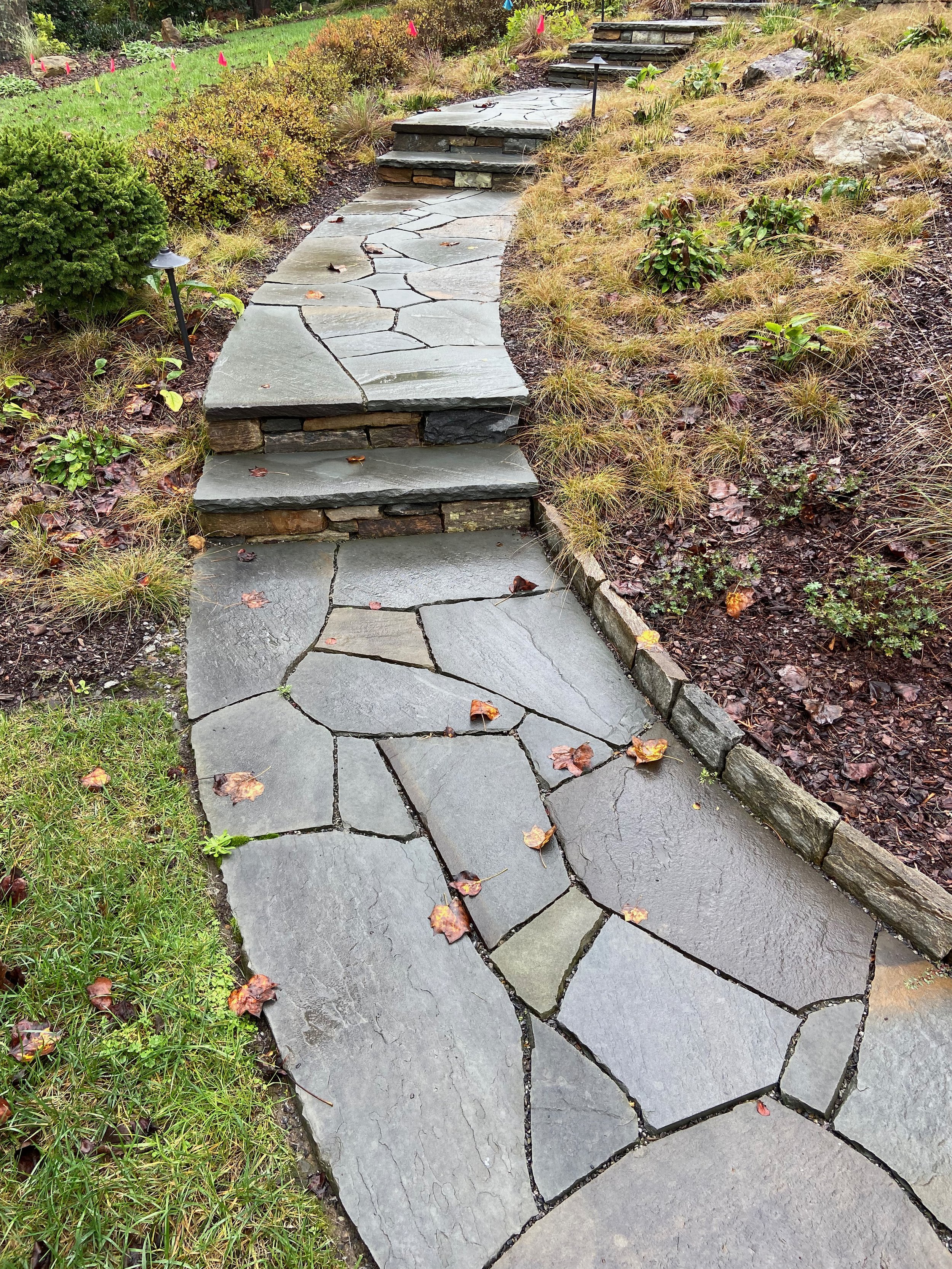 stone pathway with steps in a garden