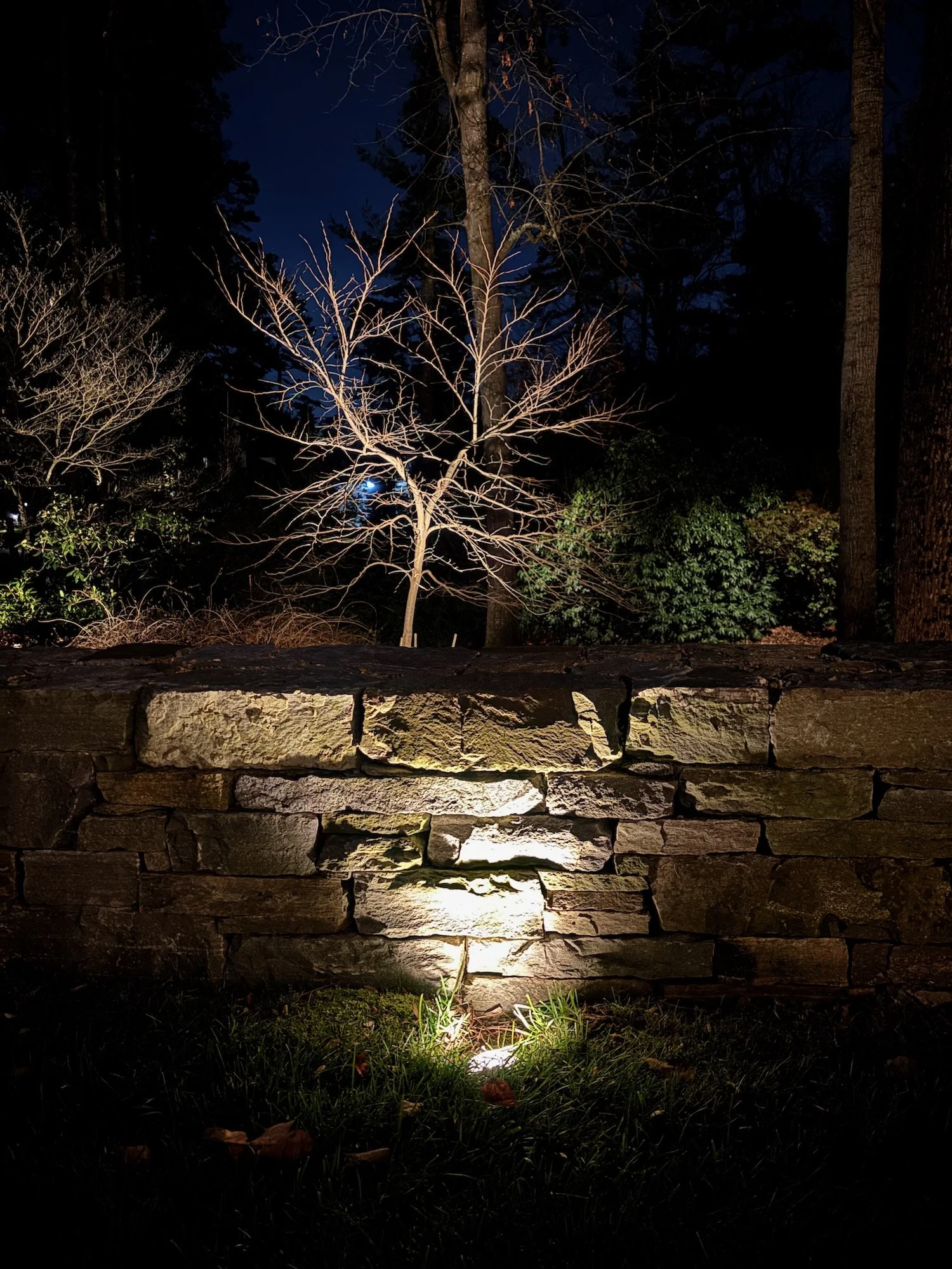 Illuminated dry stone wall, Biltmore Forest