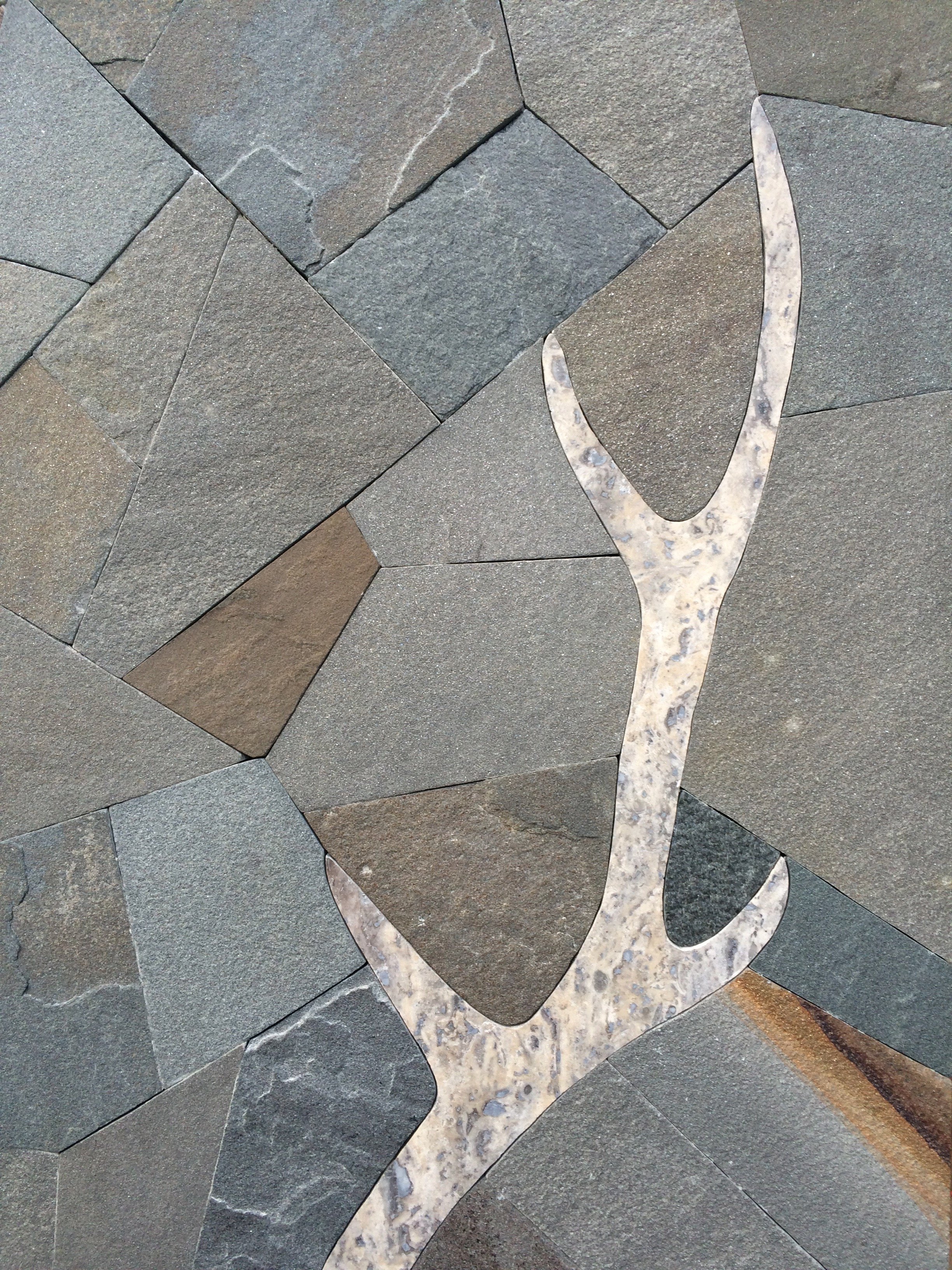 Hammerhead-Small-Mosaics- - 72.jpeg