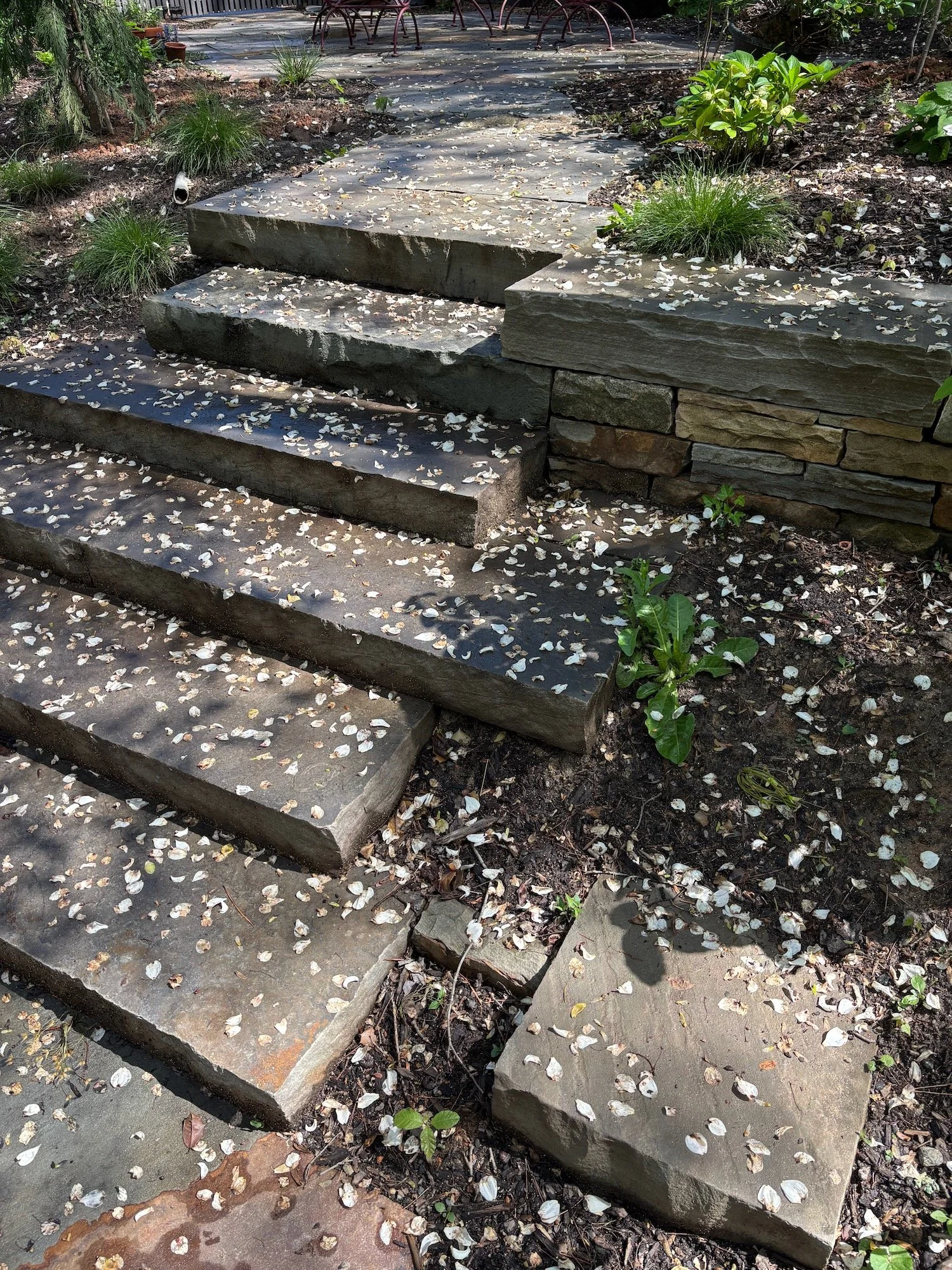 The staircase meanders, with dead ends and overhangs, inspiring people to walk with intention, West Asheville