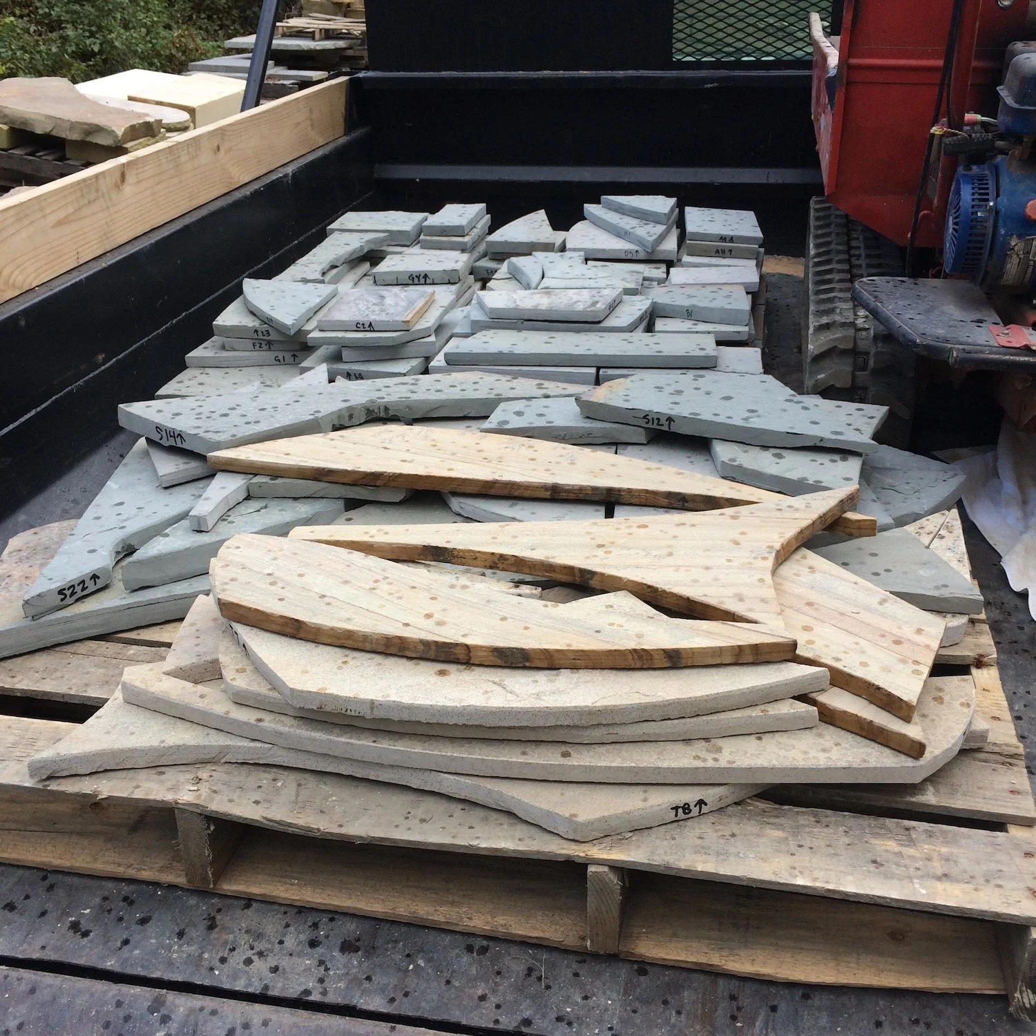 BOTT: Arboretum water feature, fish section