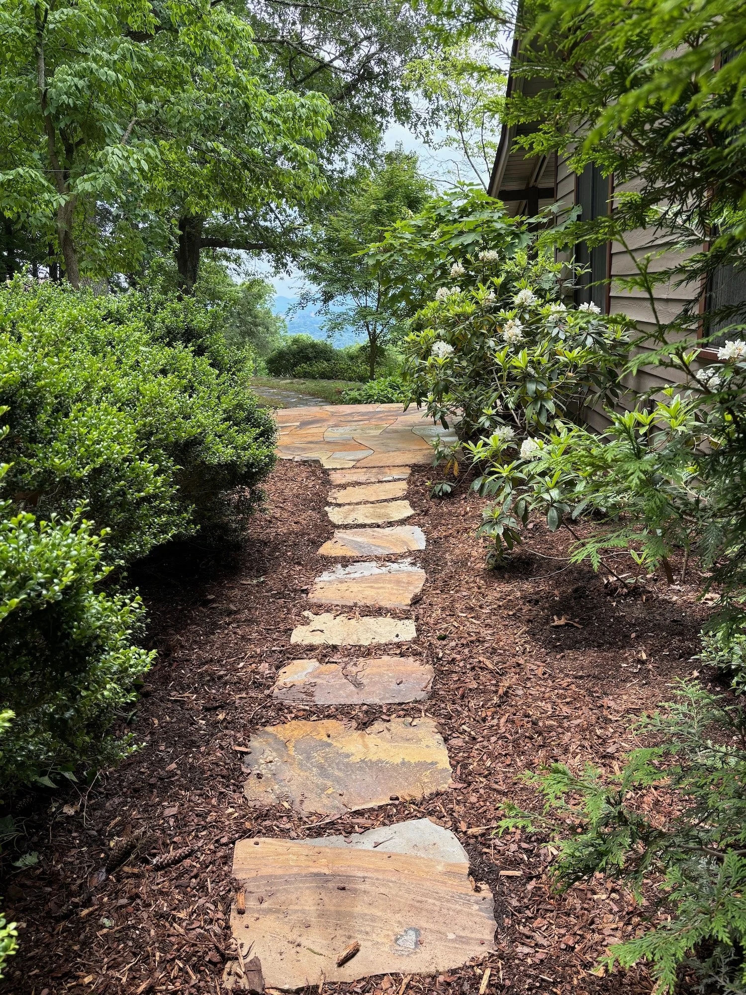 Stepping stone path, Elk Mountain area