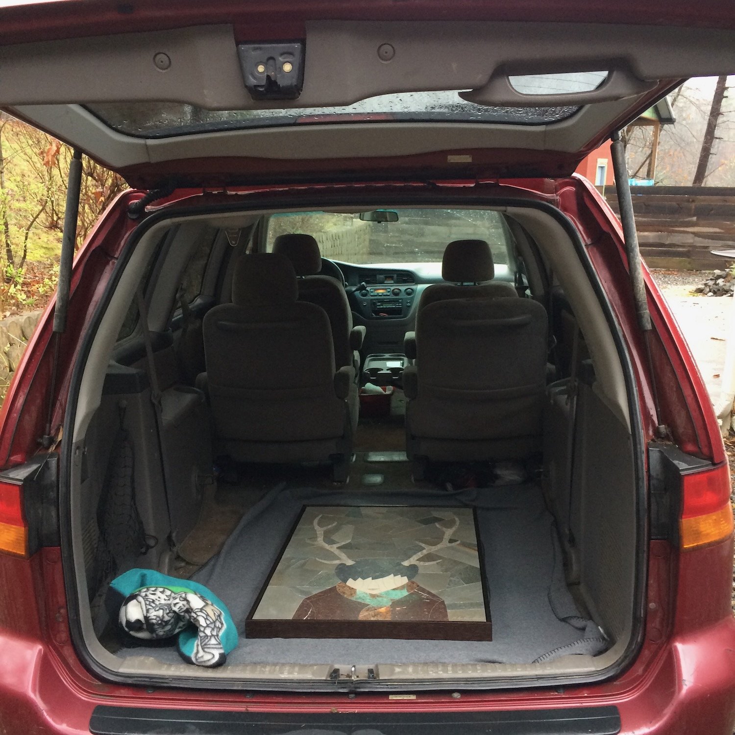 BOTMV: "The Boy With Antlers" heads to Raleigh