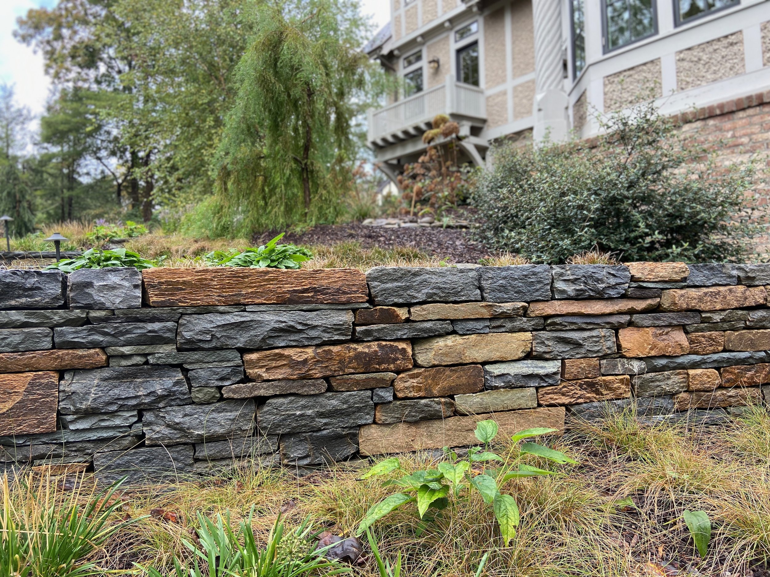 Biltmore Forest drystone wall