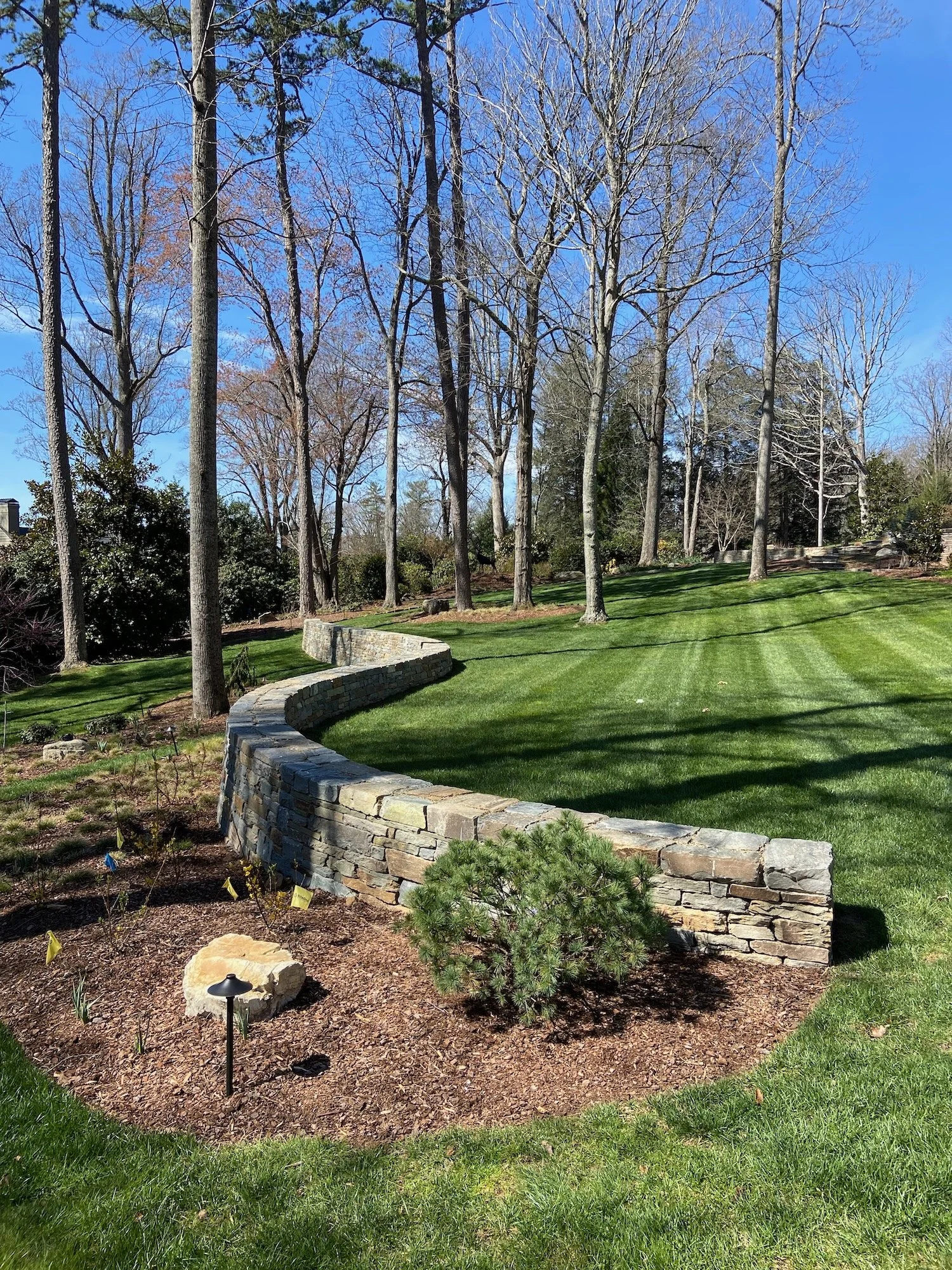 99 feet long! Biltmore Forest