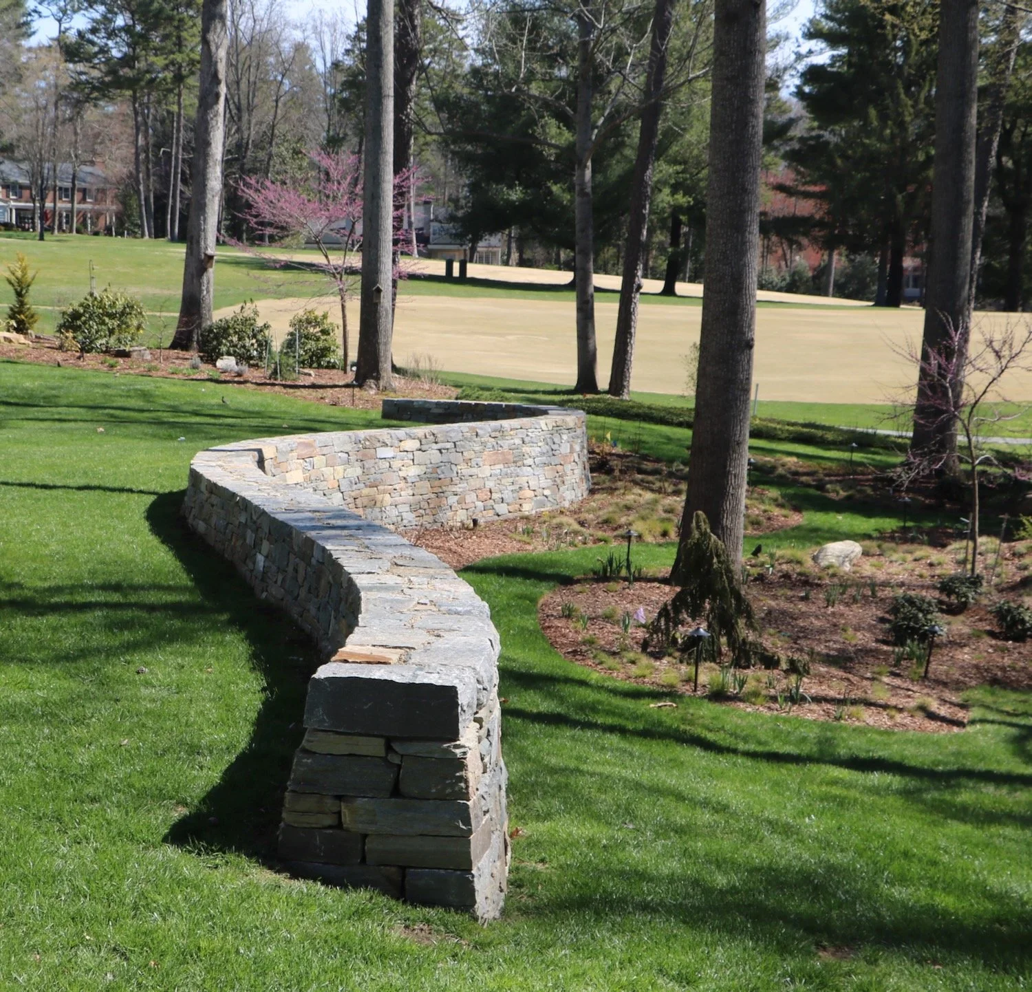 Our longest wall, Biltmore Forest