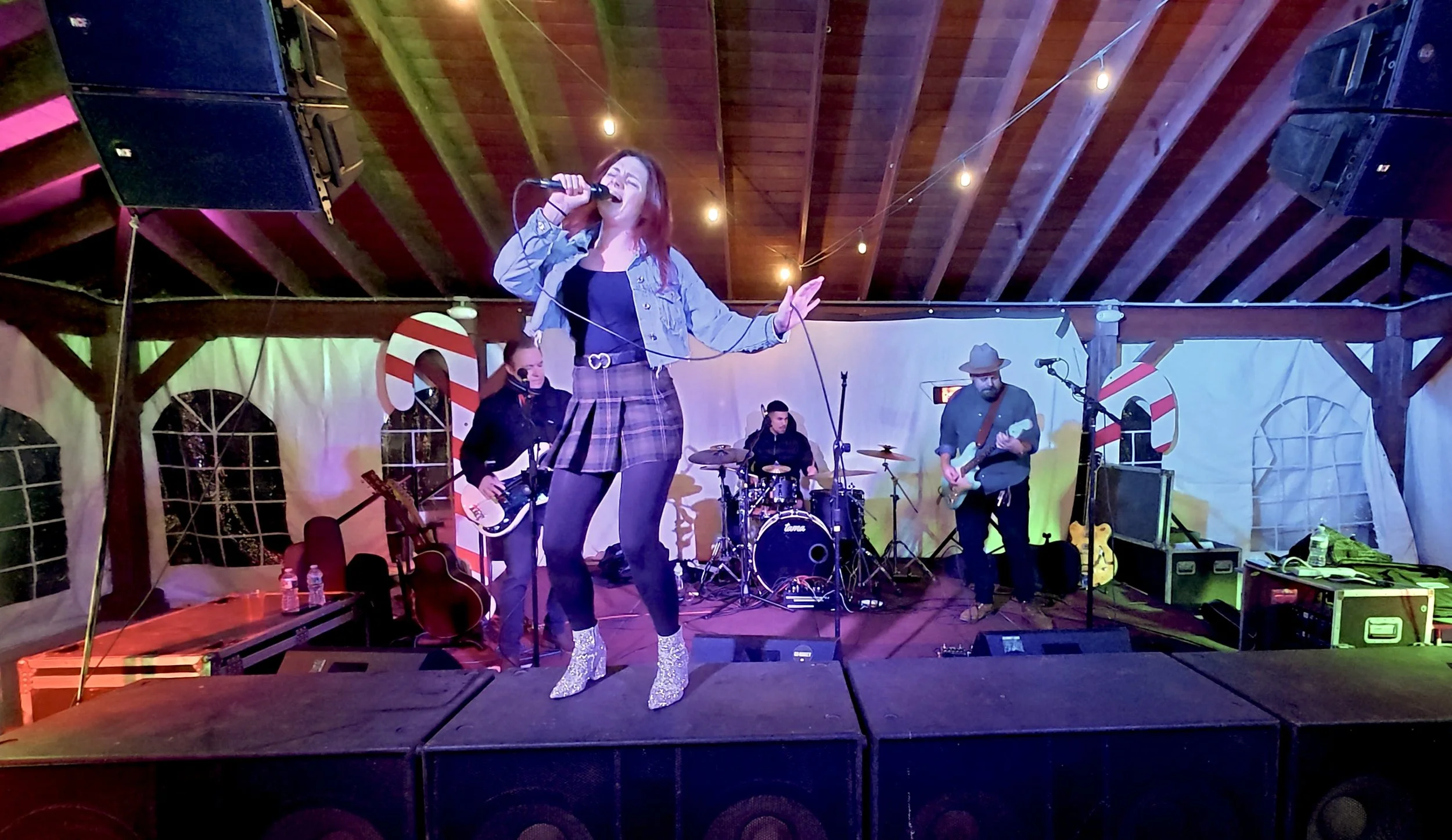 Falling in Stereo - Sarah slay web.jpeg