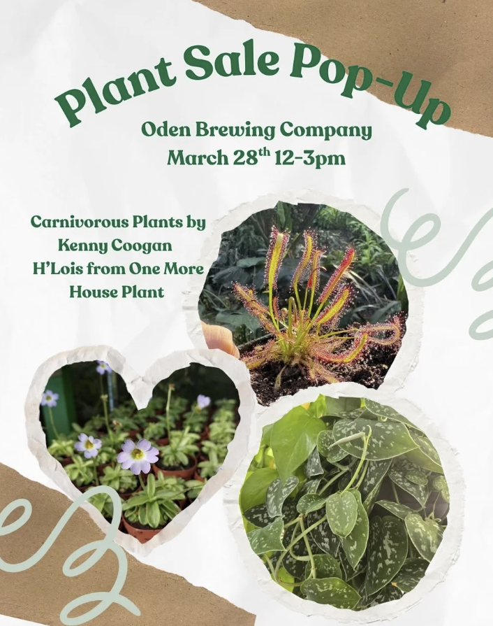 Plant Sale Pop-Up Oden Brewing Company