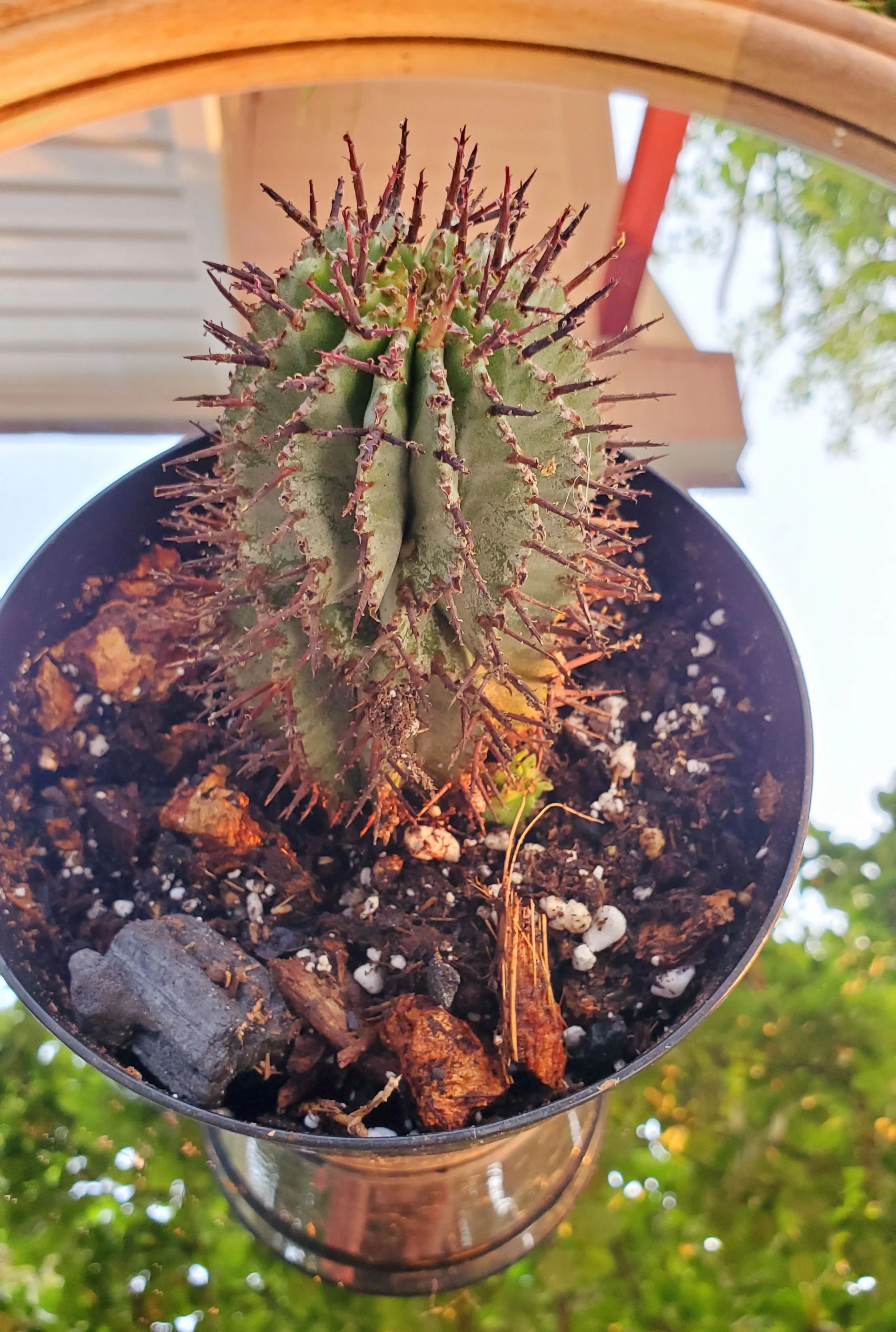 20230606_192618.jpg