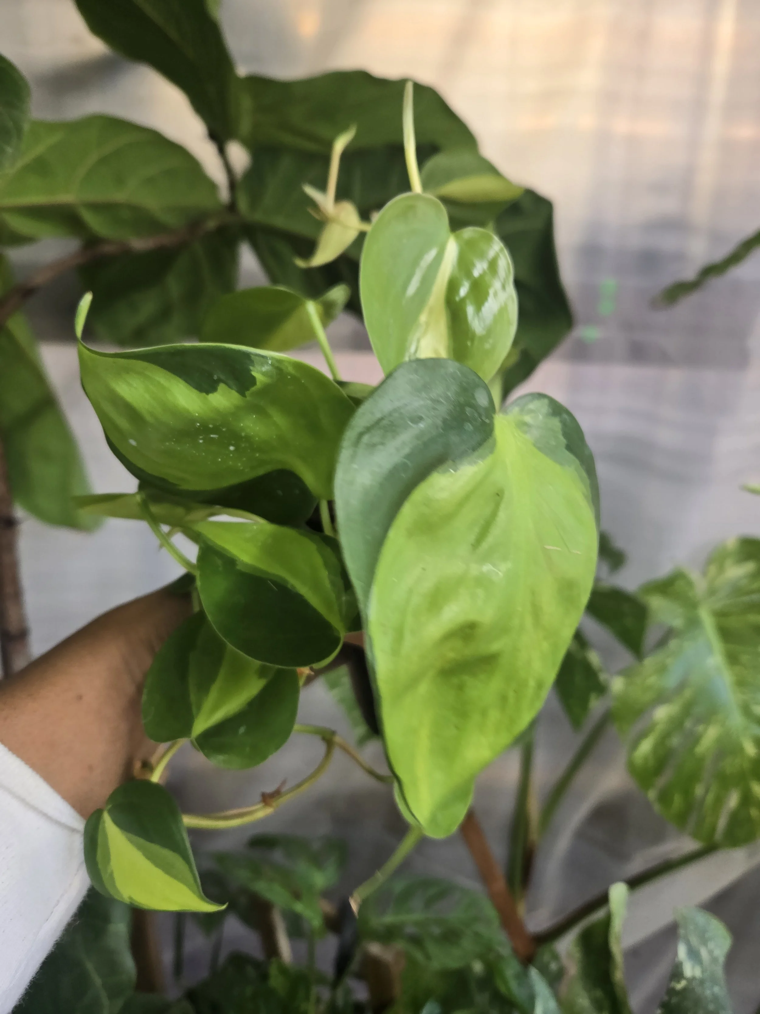 20260902_120549.jpg
