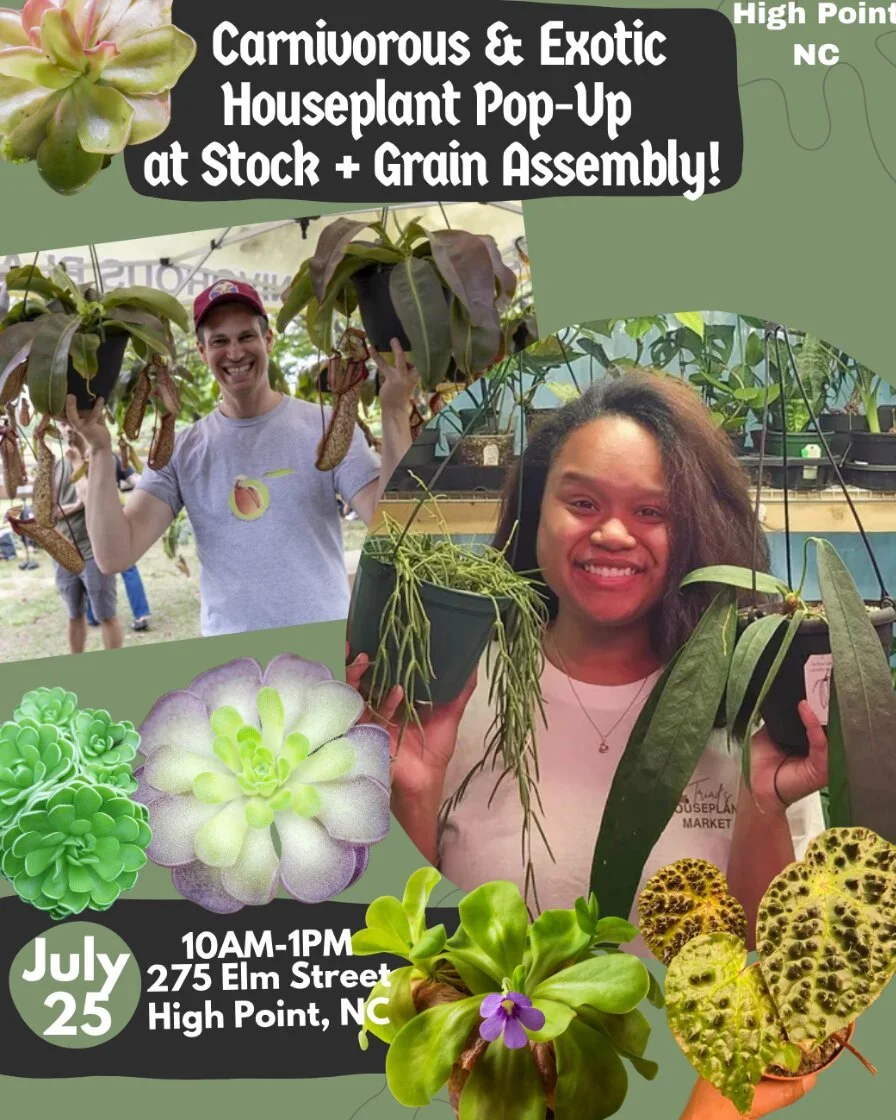 Carnivorous & Exotic Houseplant Pop-Up