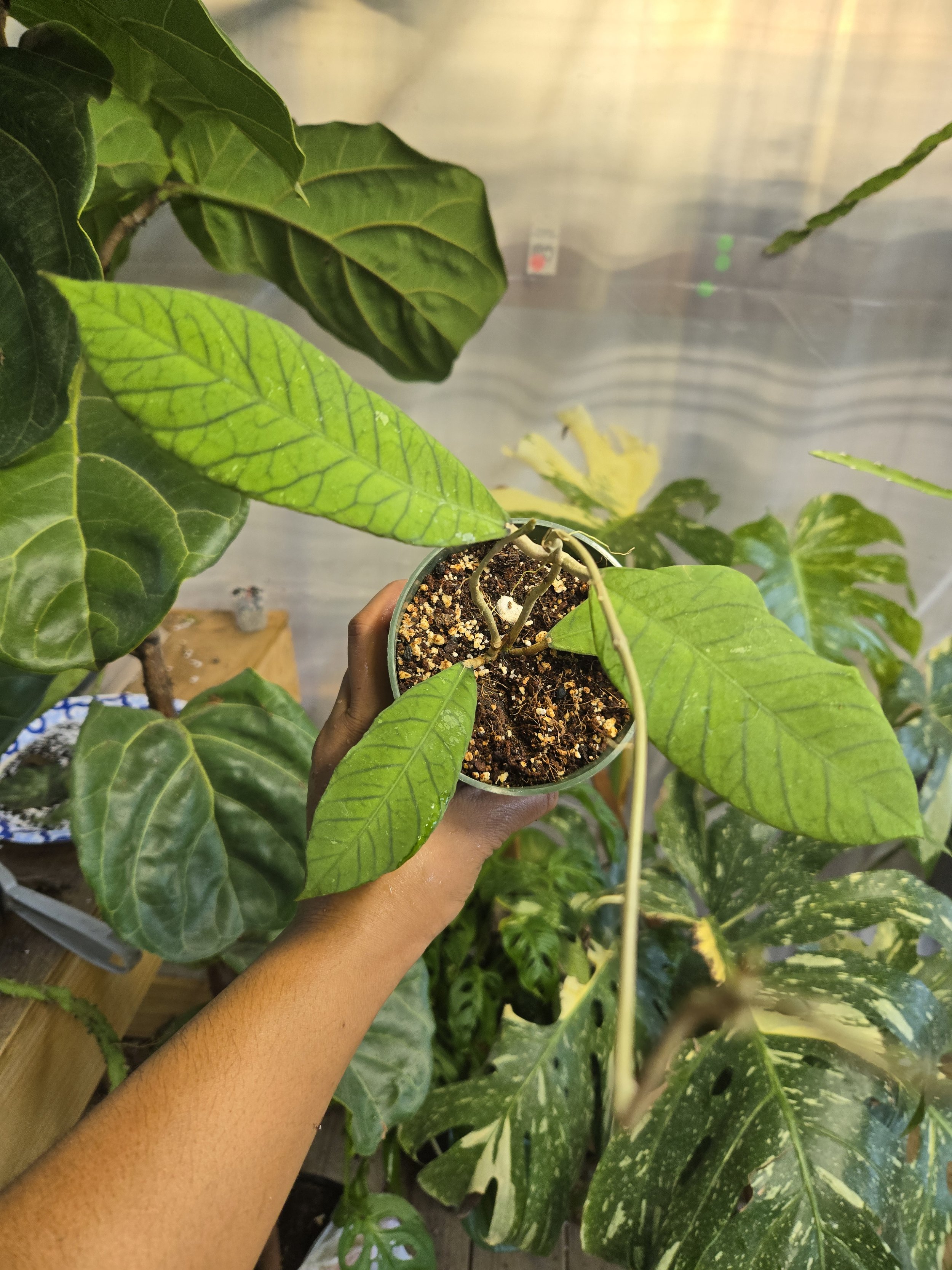 20260901_172504.jpg