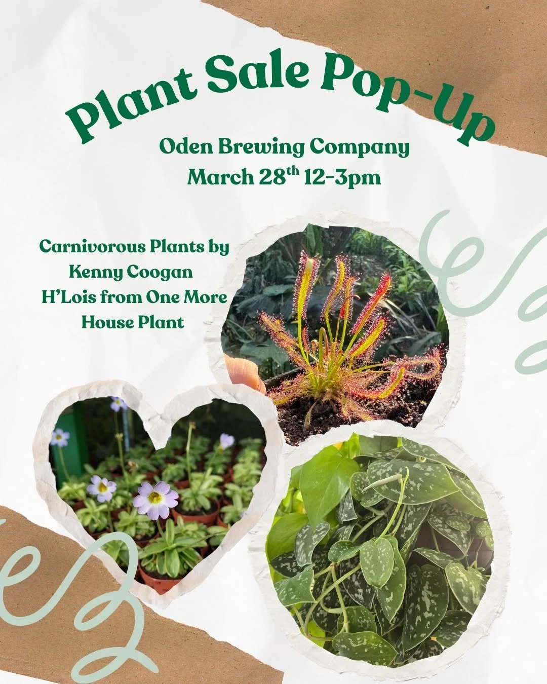 Plant Sale Pop-Up Oden Brewing Company