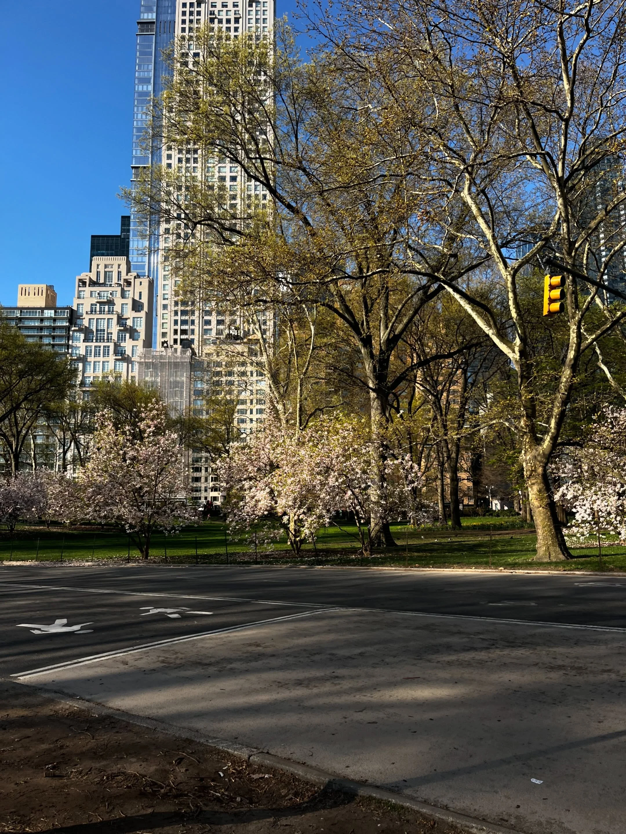 Gone Racing! ☀️OO Run Tomorrow Canceled.

See you next week! 🏃&zwj;♀️ 

#orithyiaomada #centralpark #goneracing