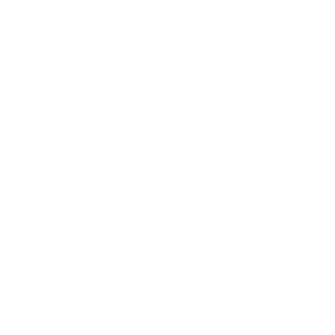 Ari and the Buffalo Kings