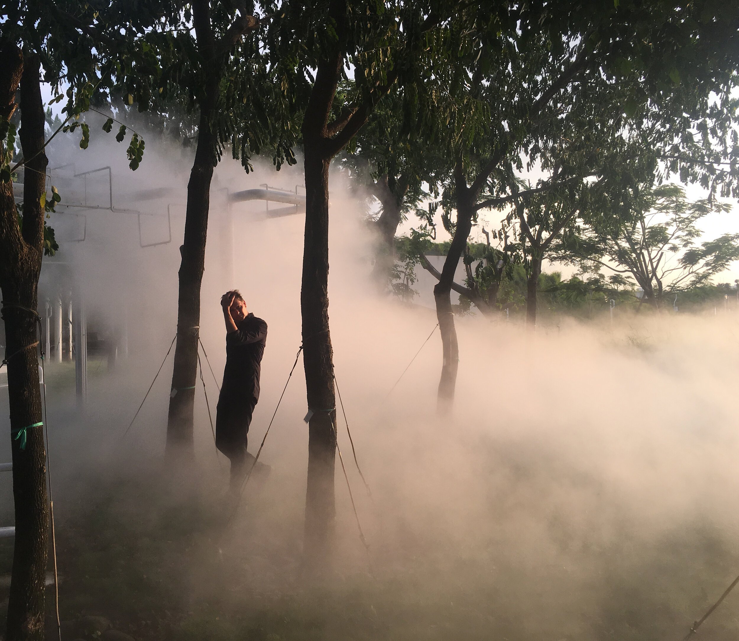 Une histoire naturelle de l'architecture