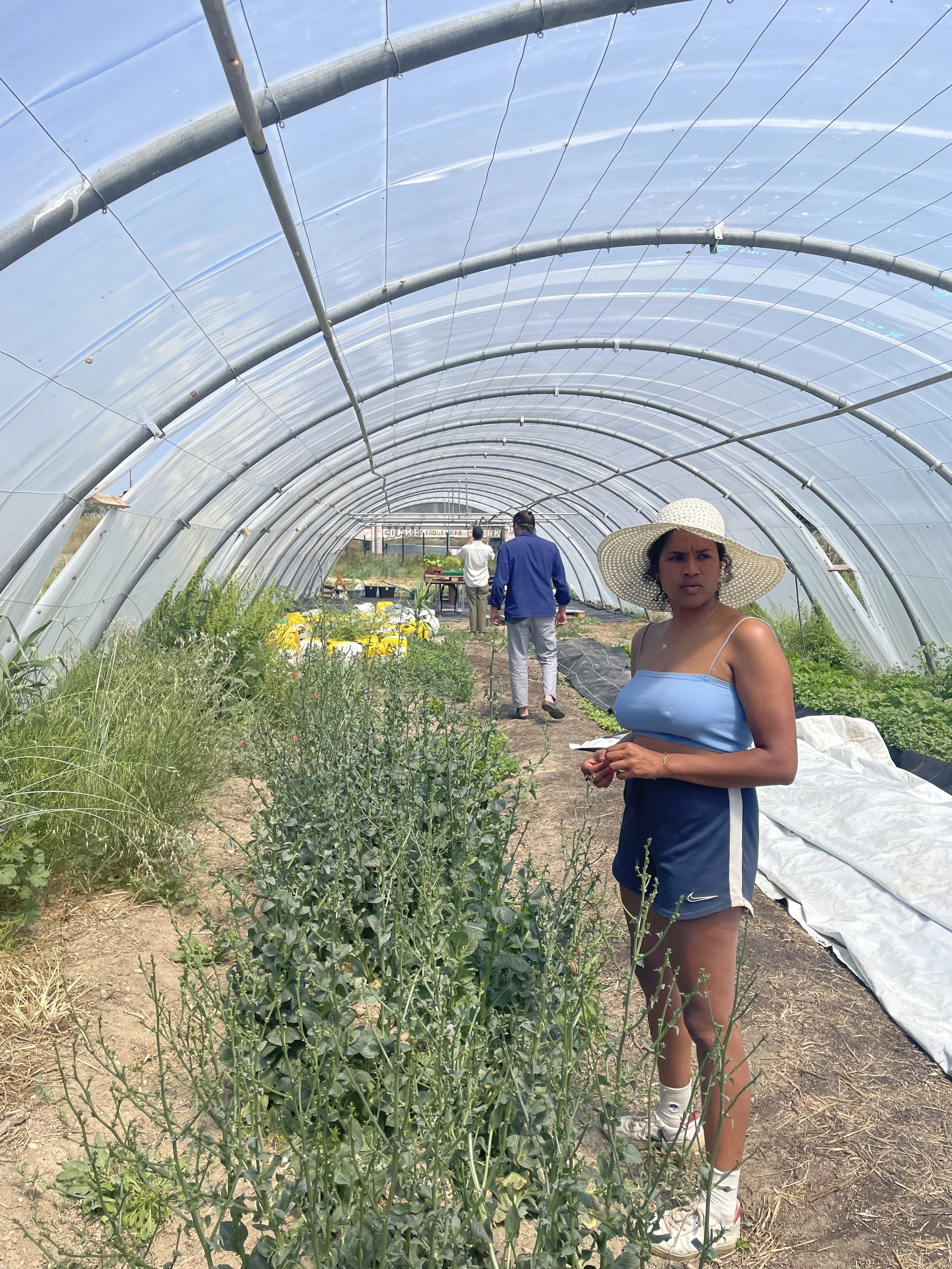 Capri, une ferme dans la ville
