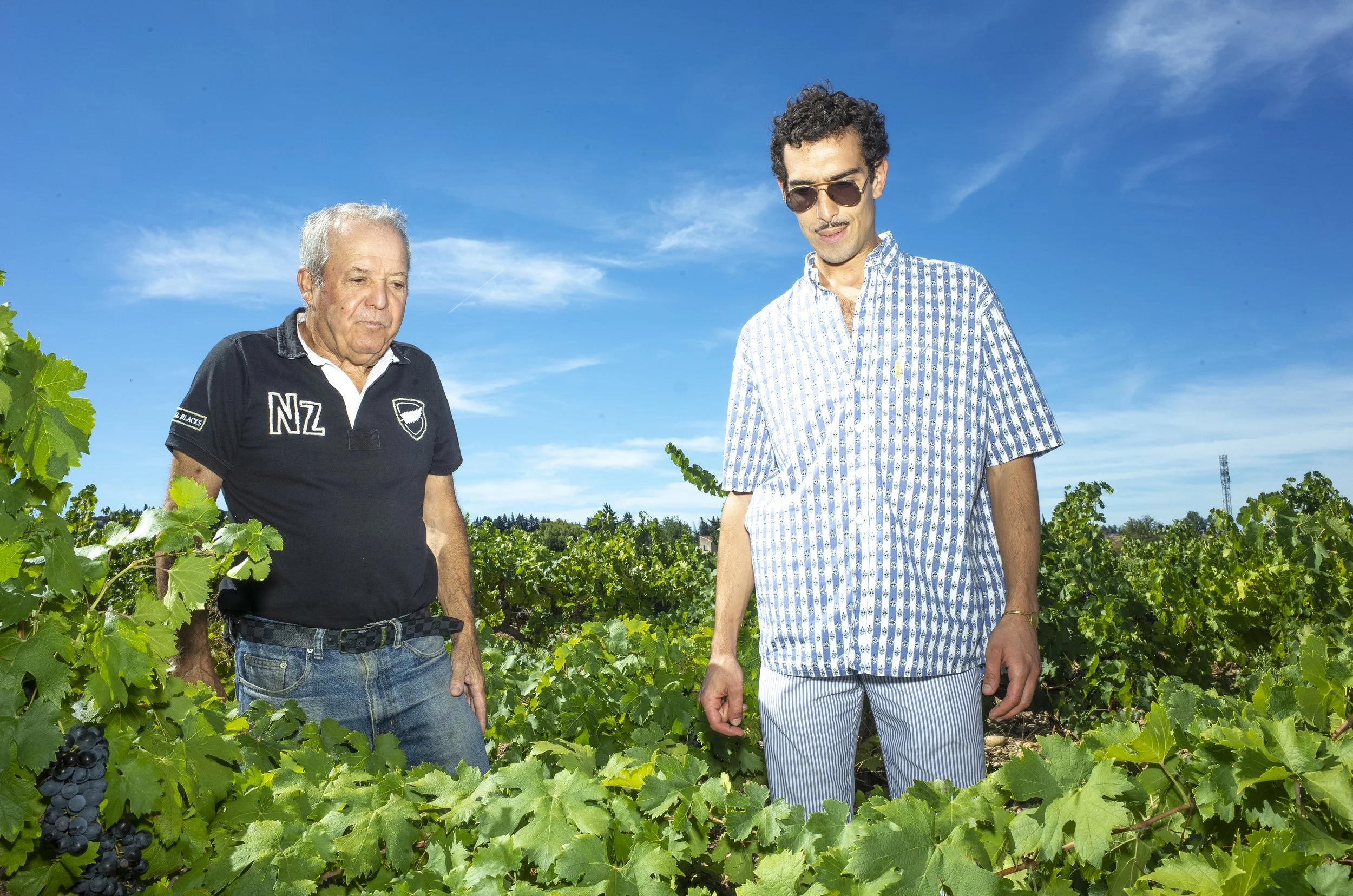 Raisin-zin, Regain Magazine