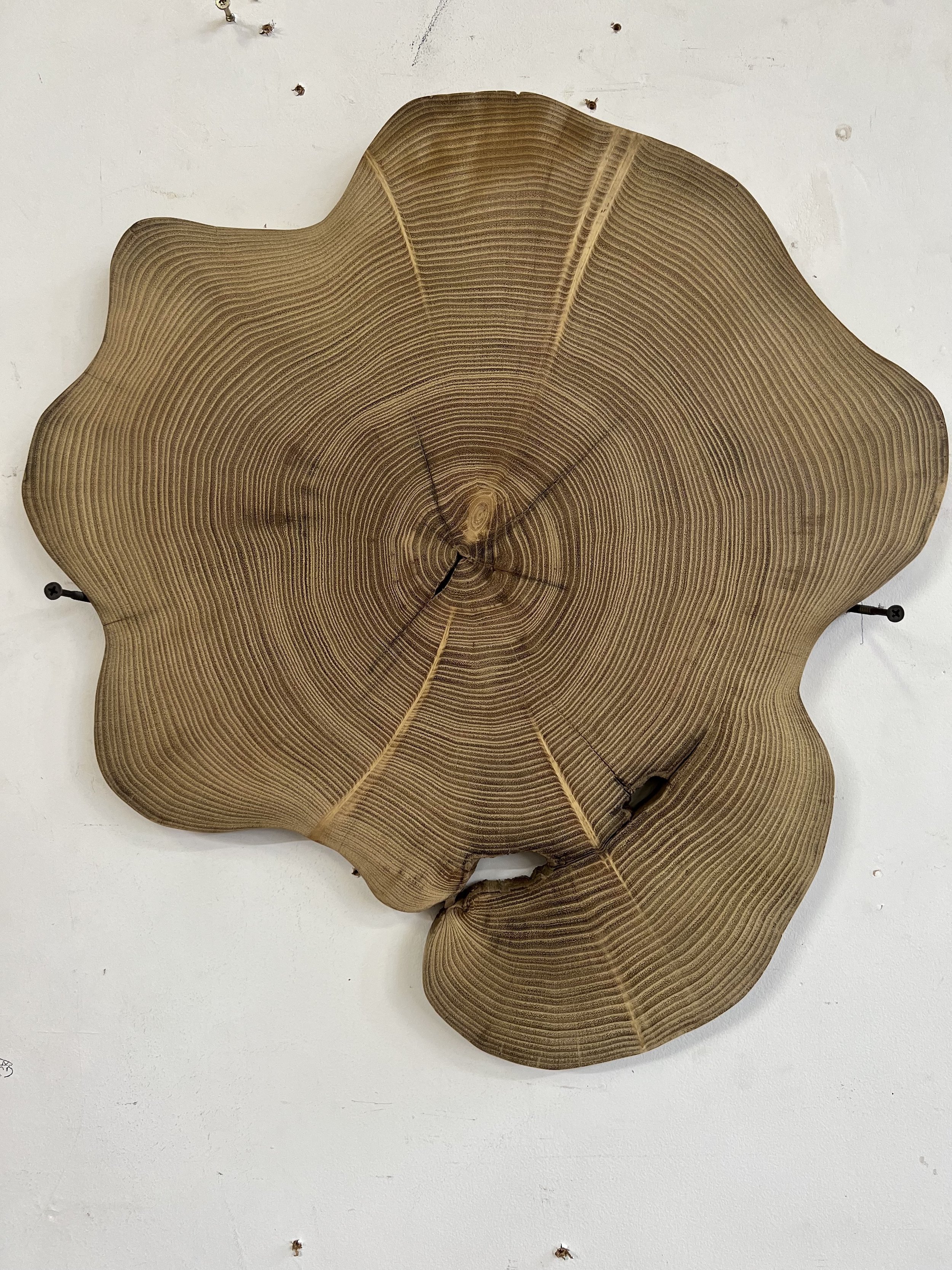 hanging wood.jpeg
