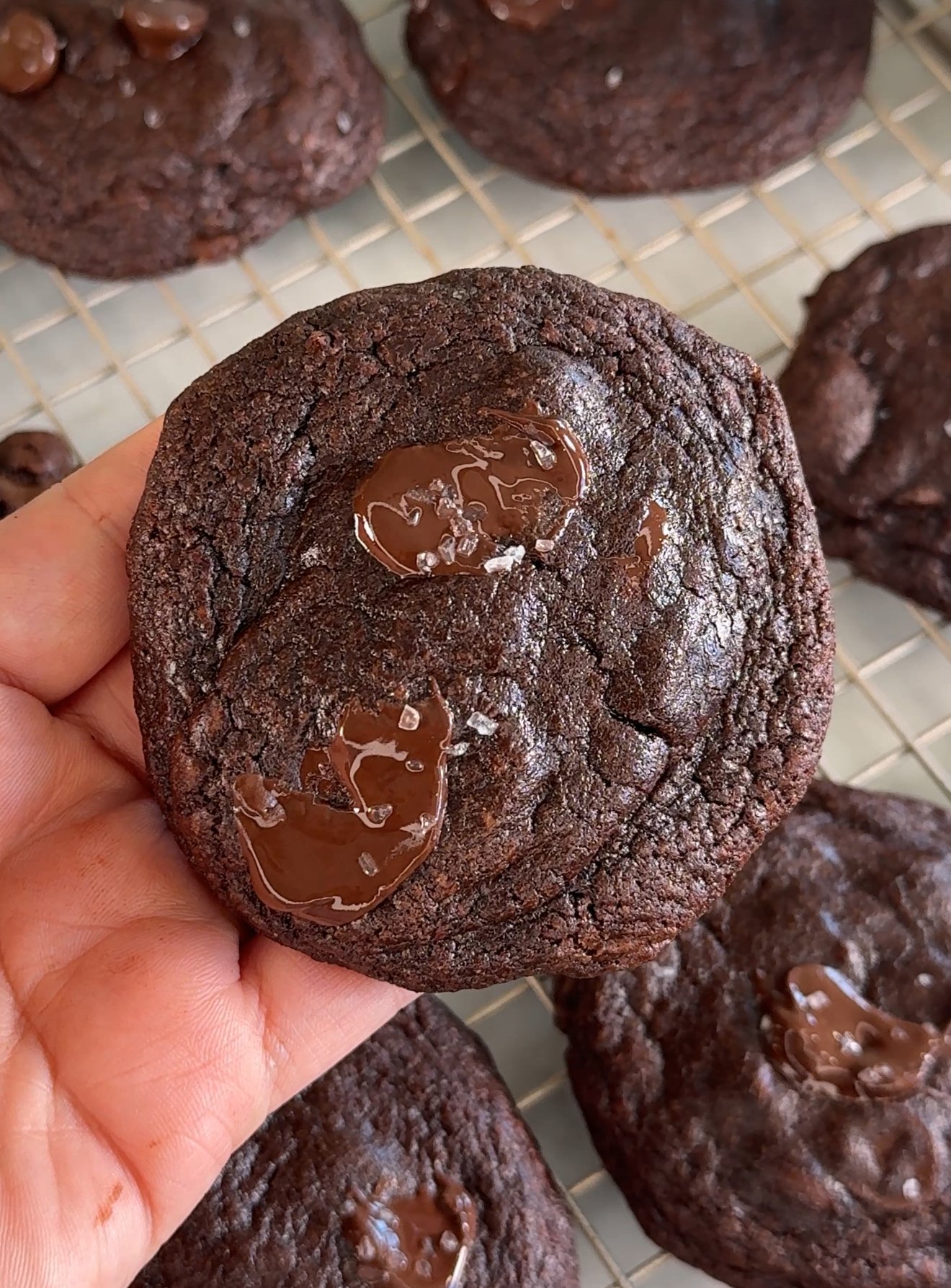 The best double chocolate chip cookies recipe I can’t stop making