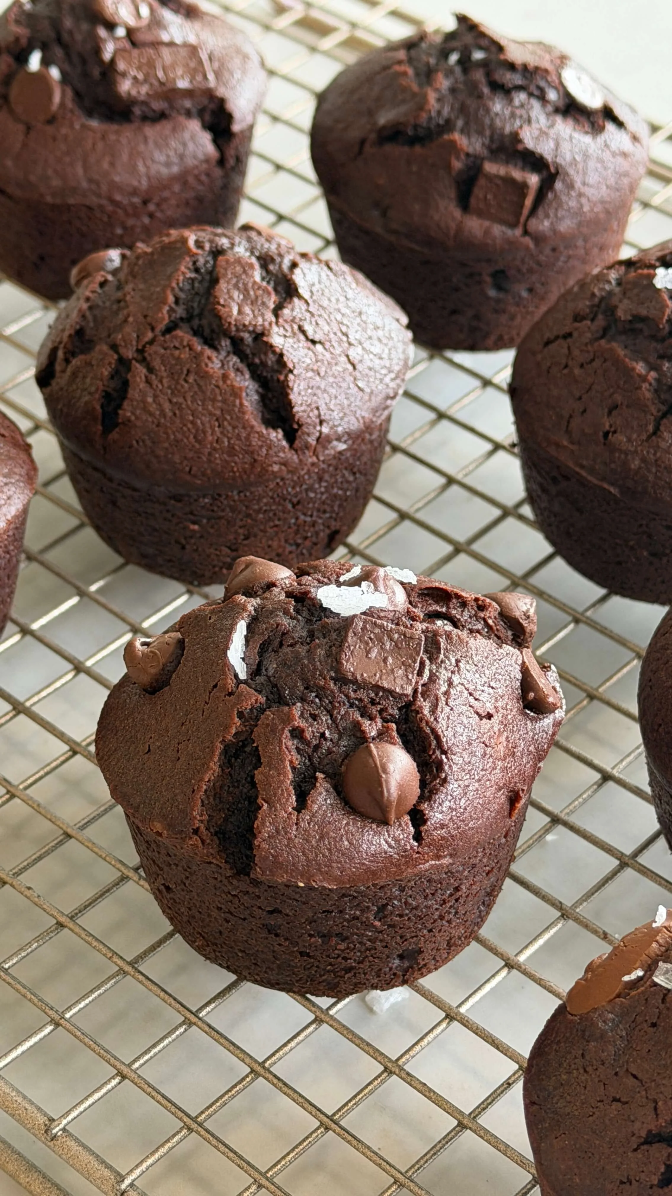 chocolate muffins on wire rack close up
