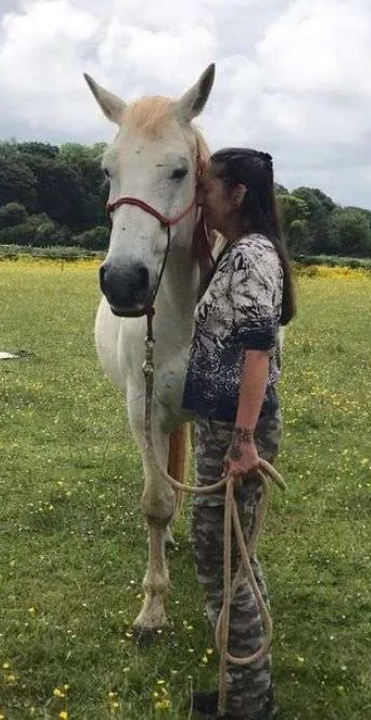  Equine Assisted Soul Experience