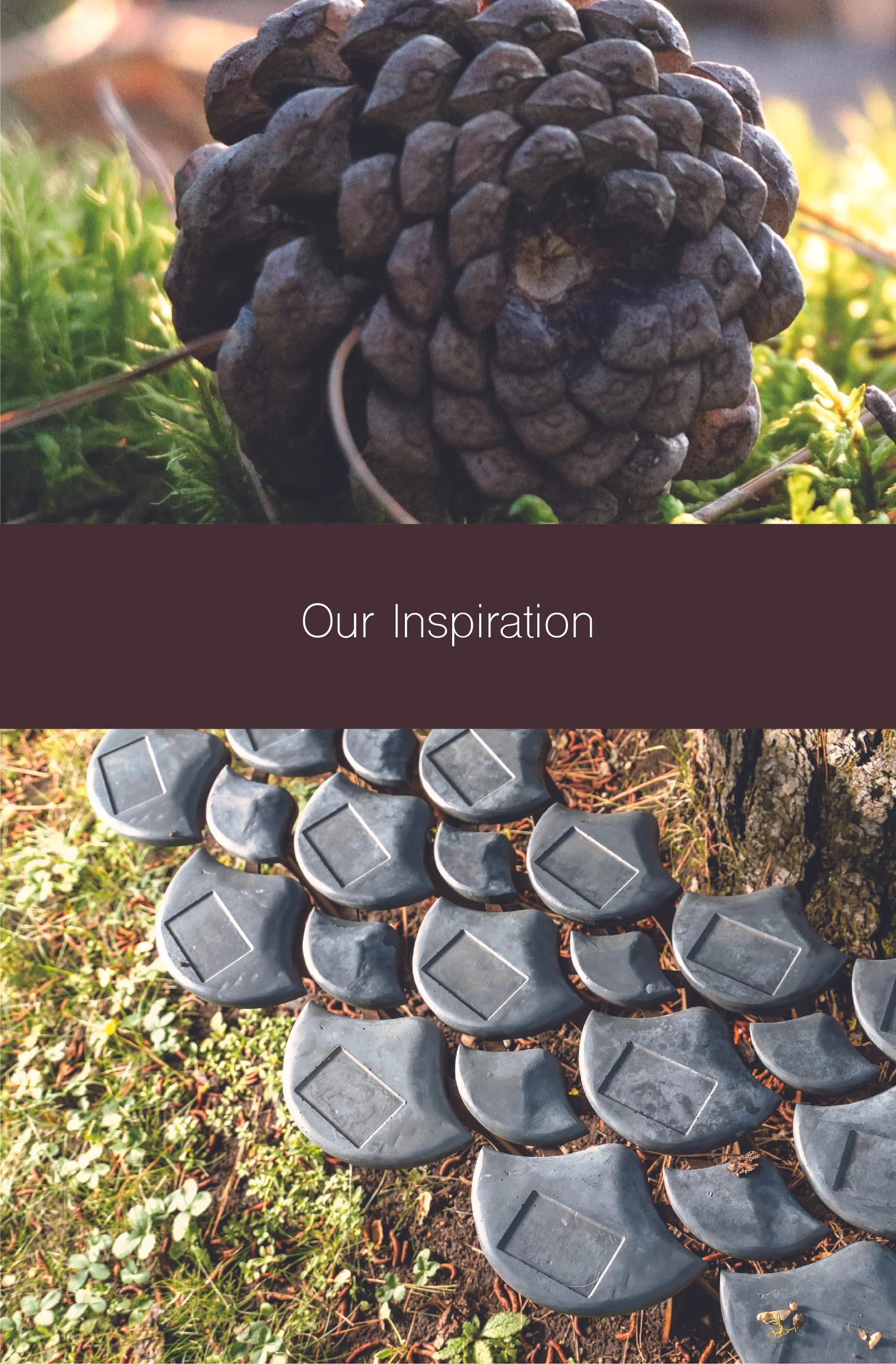 New Client Packet-3-10.jpg