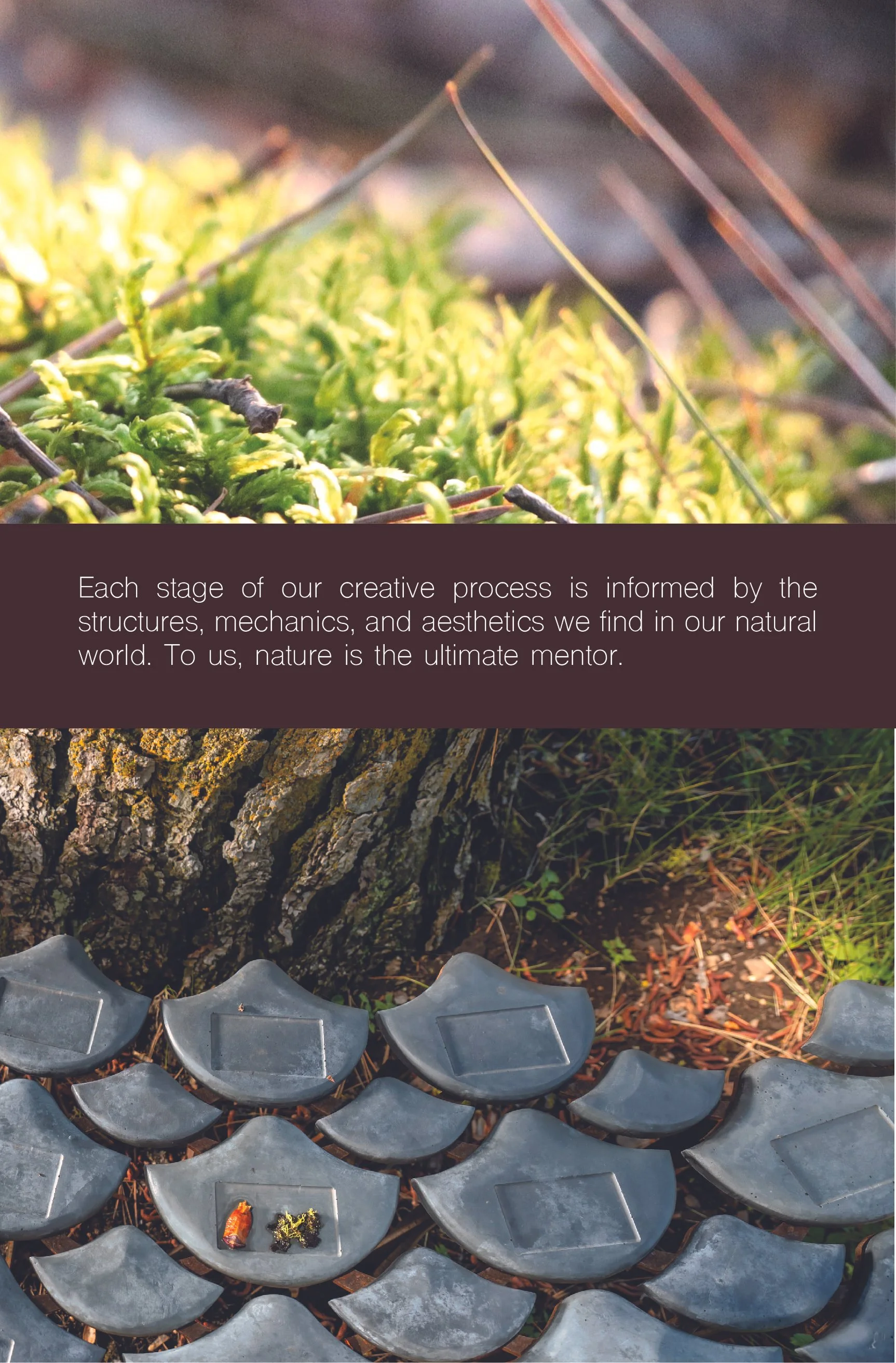 New Client Packet-3-11.jpg