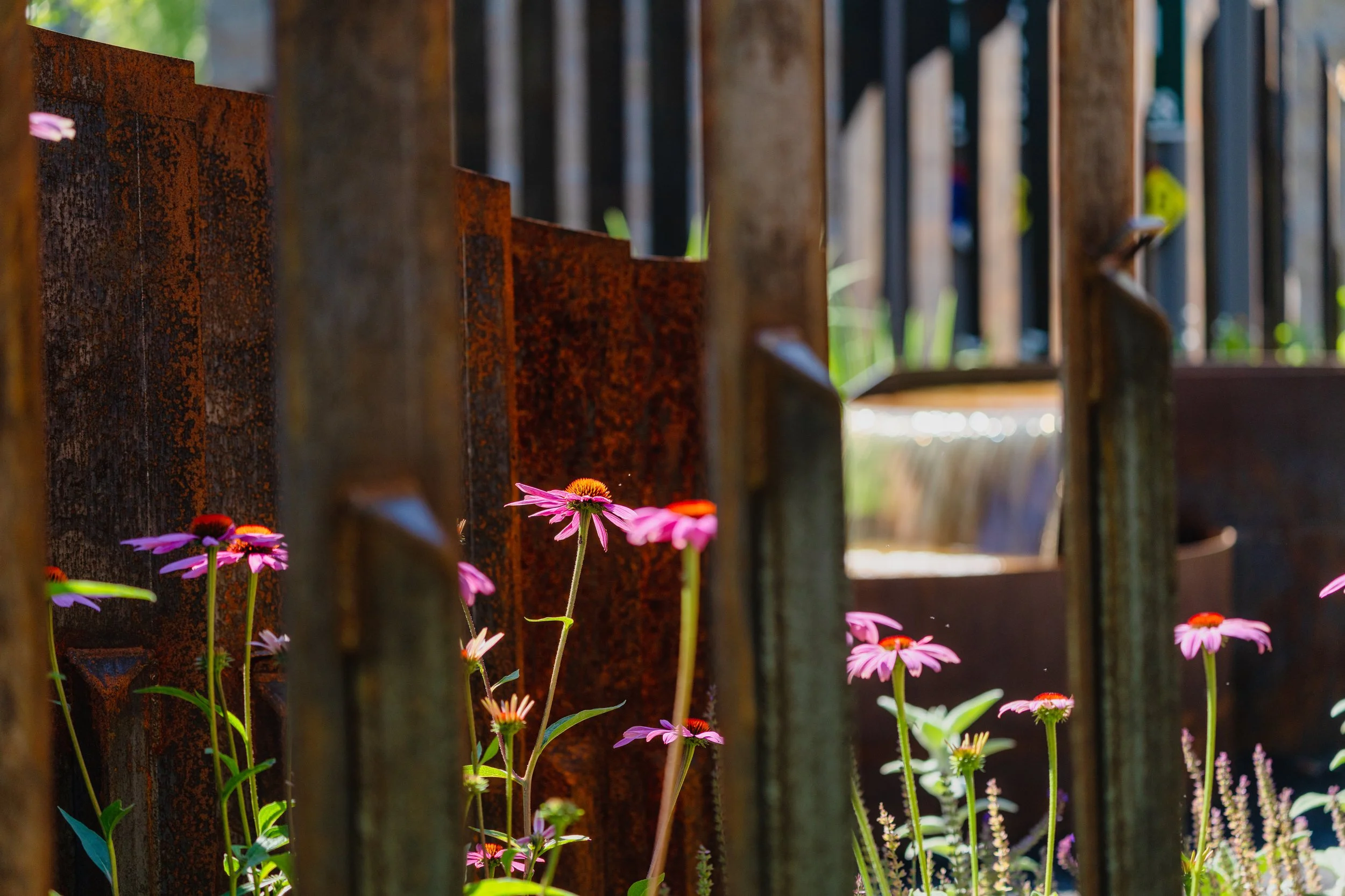 St. Lukes McCall Healing Garden