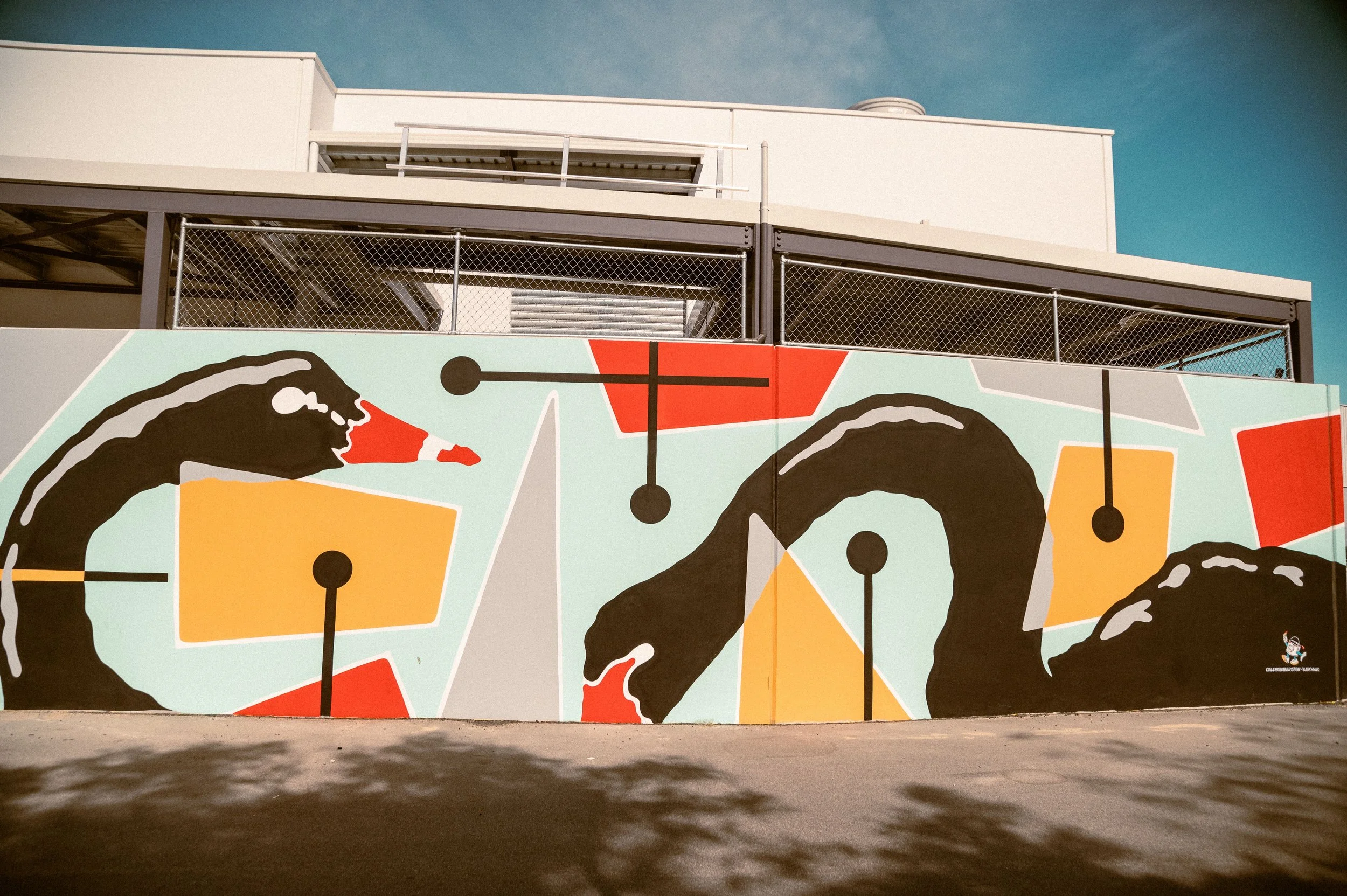 iga canning vale wa australia mural public art black swans