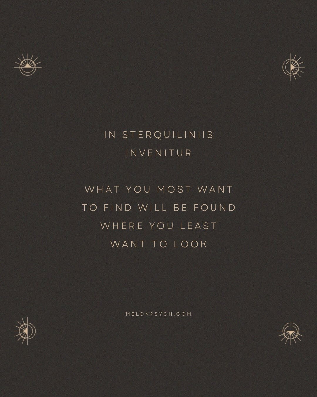 If you seek your whole self, you must explore your shadow, your demons and the depths of your unconscious. #shadowwork #therapy #jungandfree #carljung #jungian #alchemy #alchemist #mbldnpsych