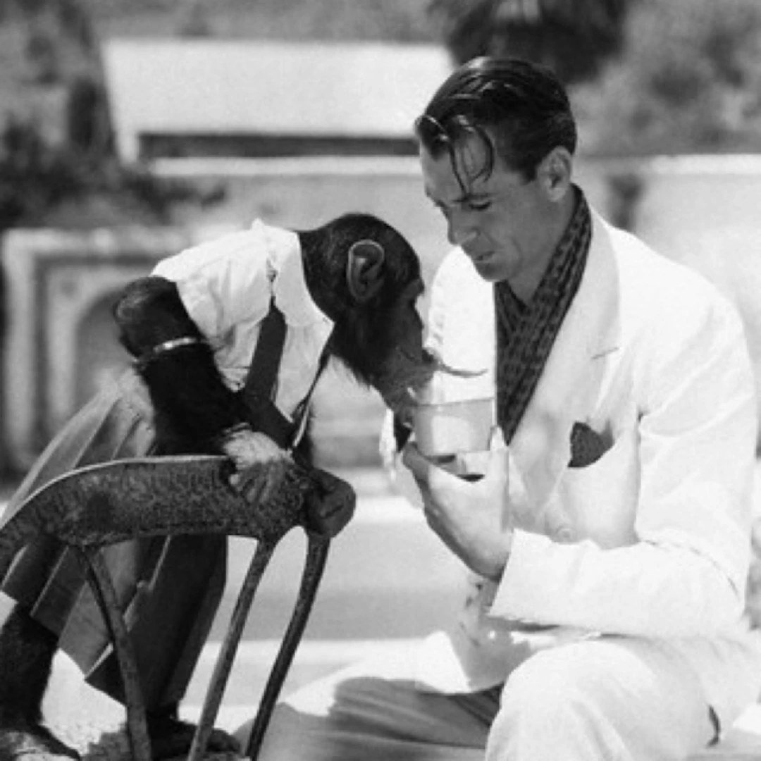 🌟🐵 A Friend to All Creatures 🎬🌿

In this heartwarming snapshot from the set of &quot;The Real Glory,&quot; Cooper shares a playful moment with his co-star, the charming chimp Jiggs.

Join us in celebrating Gary Cooper's enduring legacy of compass