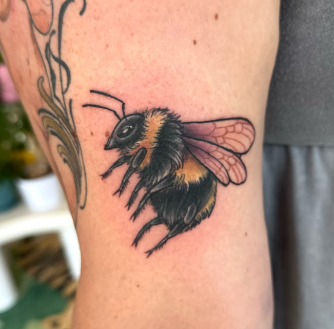 Screenshot 2026-02-17 121351.png