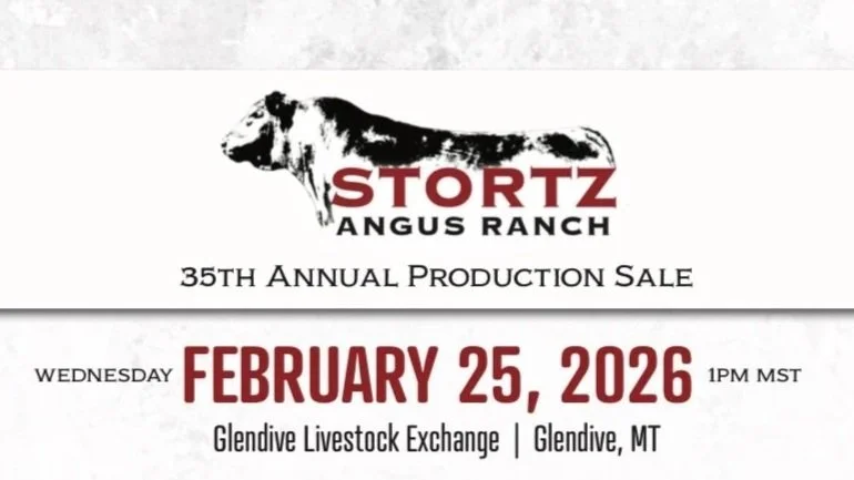 Stortz Angus Ranch 35th Annual Production Sale