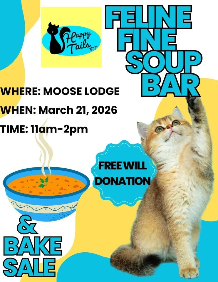 Feline Fine Soup Bar & Bake Sale