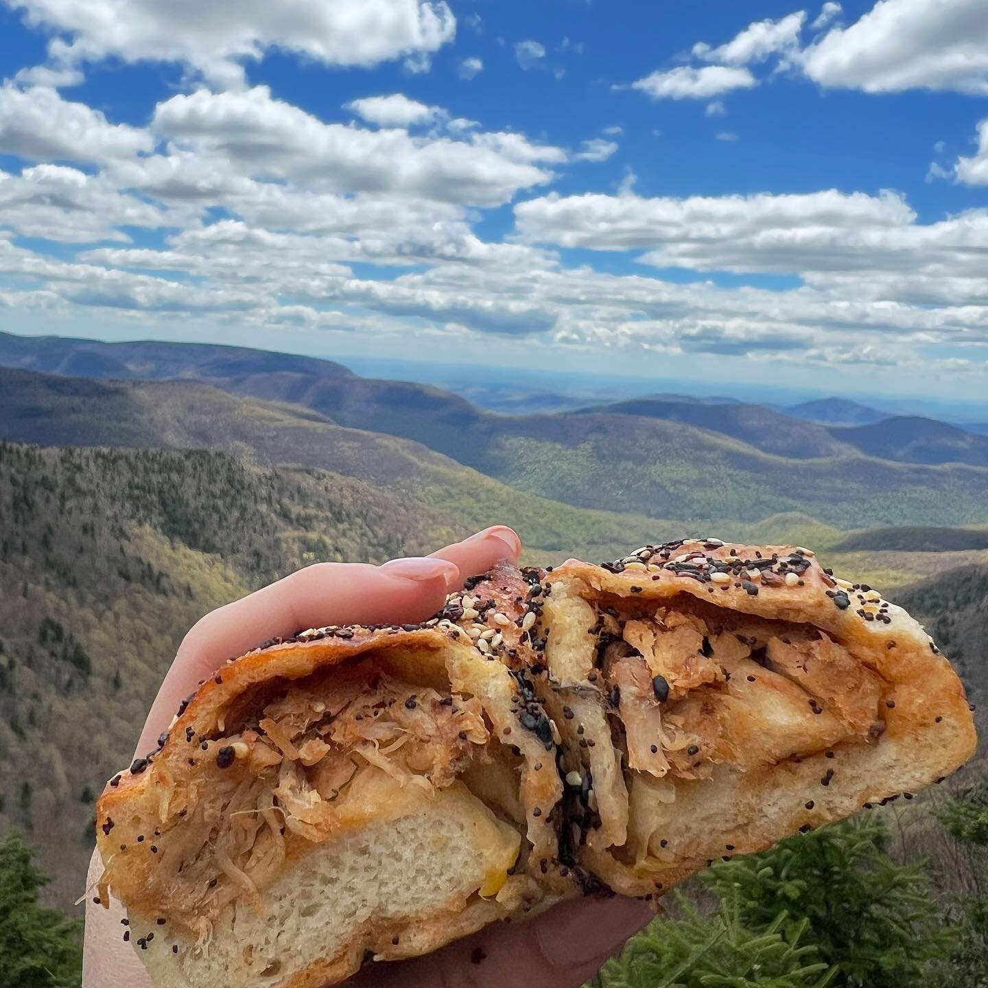 Not sure which view we&rsquo;re more excited about&hellip;

Featuring @moonrisebagels May Special: Slow Roasted Pulled Pork Stuffed Everything Bagel