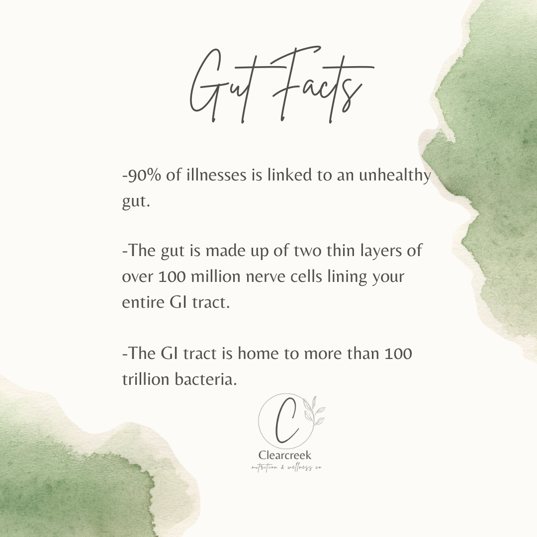 TRUST YOUR GUT YOUR COMPLETE GUIDE TO GUT HEALTH — Clearcreek