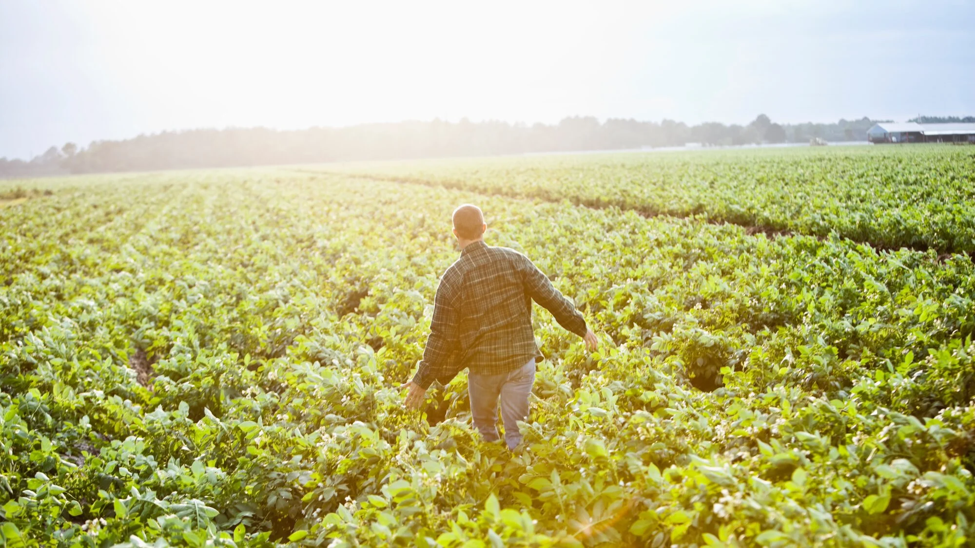 Recharging Your Battery: A Practical Way to Prevent Burnout in Agriculture