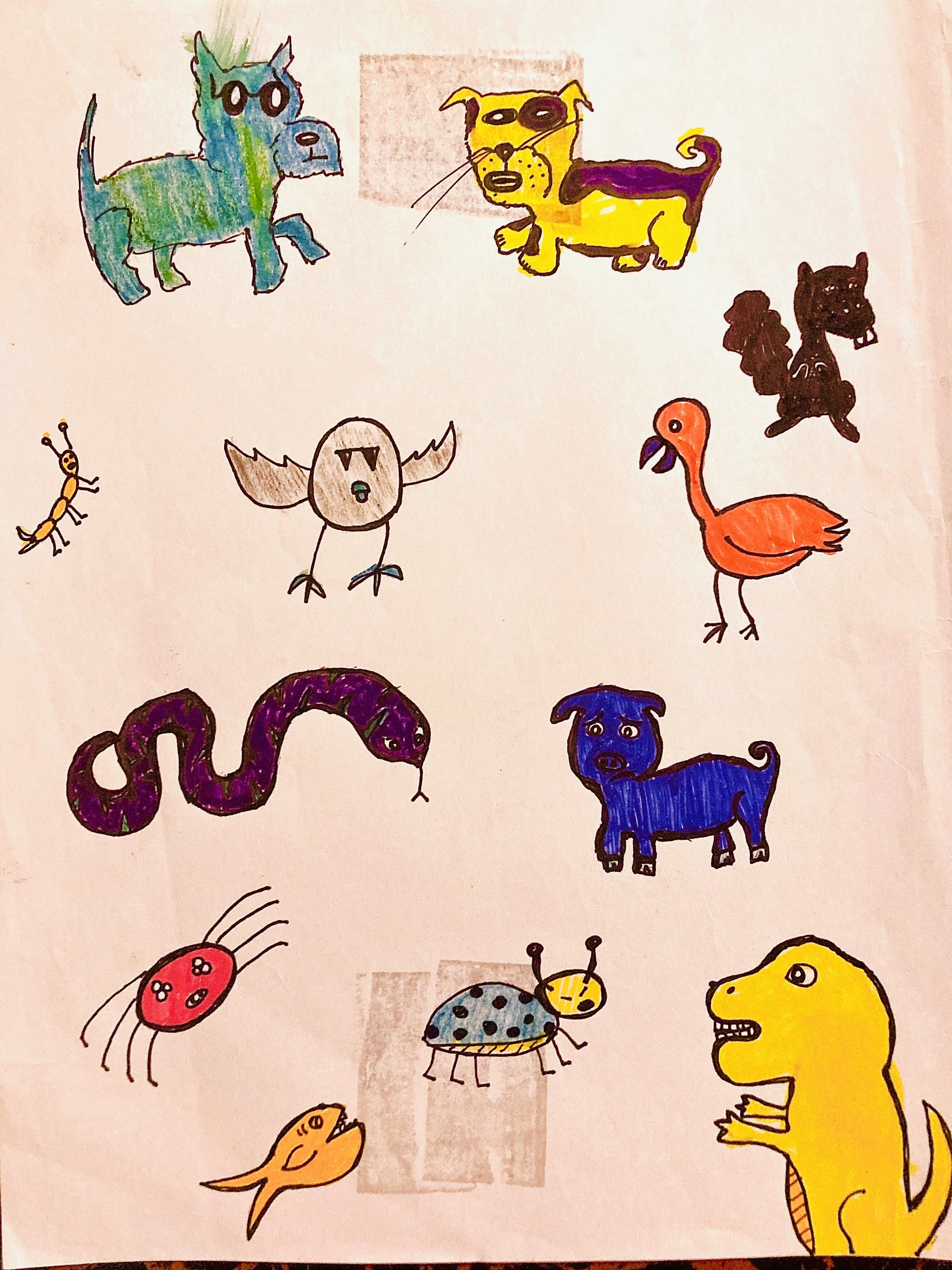 Animal Designs